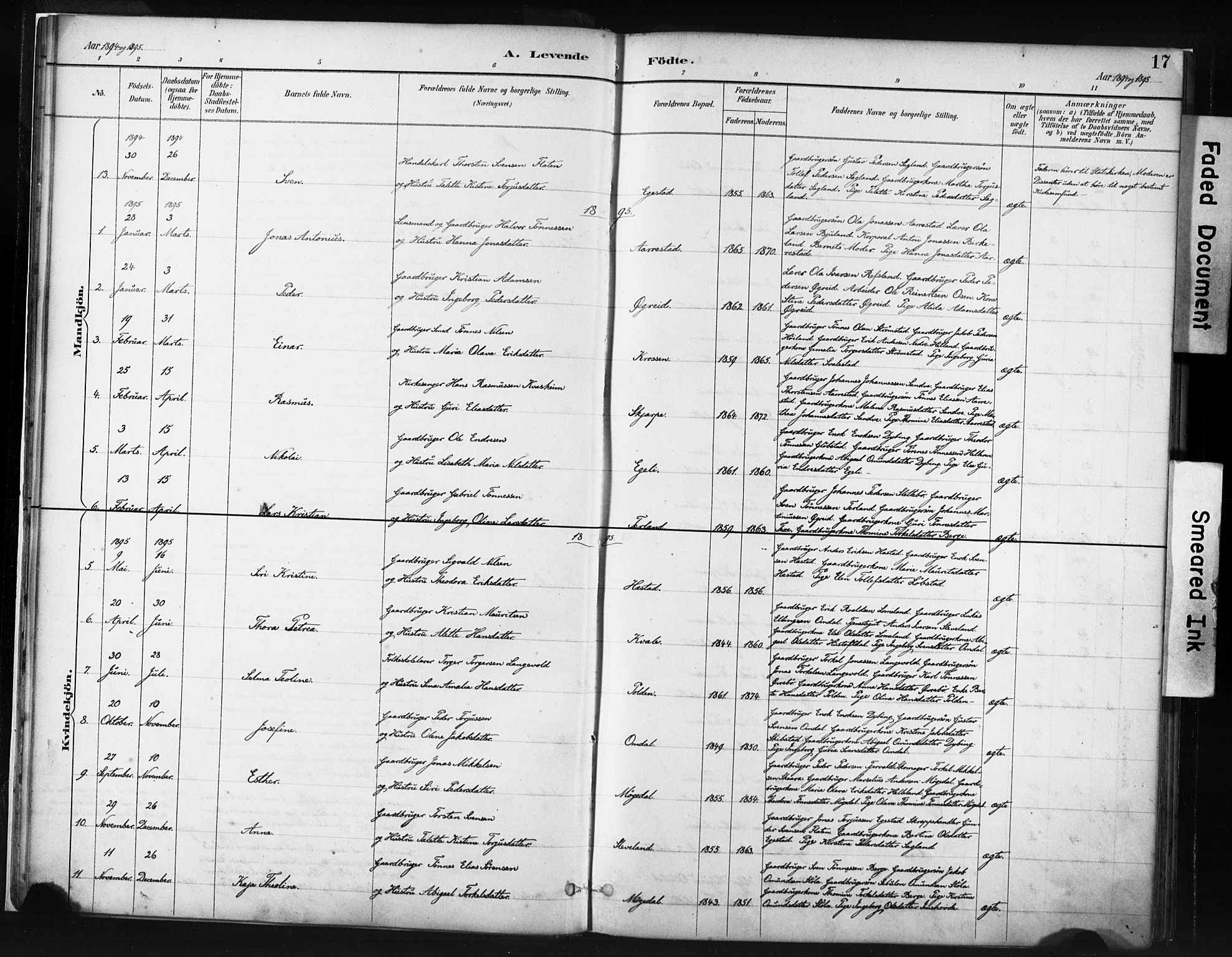 Helleland sokneprestkontor, AV/SAST-A-101810: Parish register (official) no. A 8, 1887-1907, p. 17