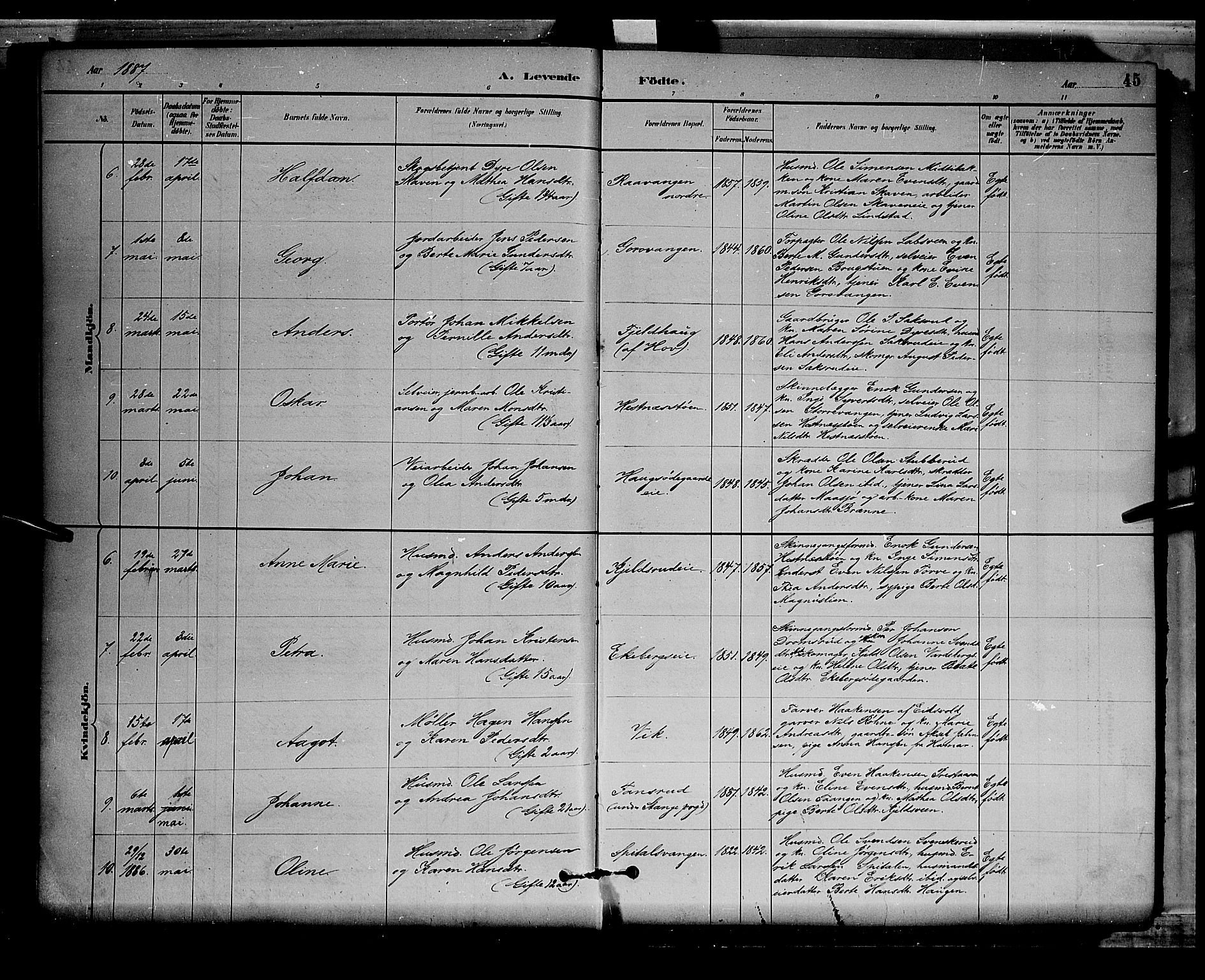 Stange prestekontor, AV/SAH-PREST-002/L/L0008: Parish register (copy) no. 8, 1882-1895, p. 45