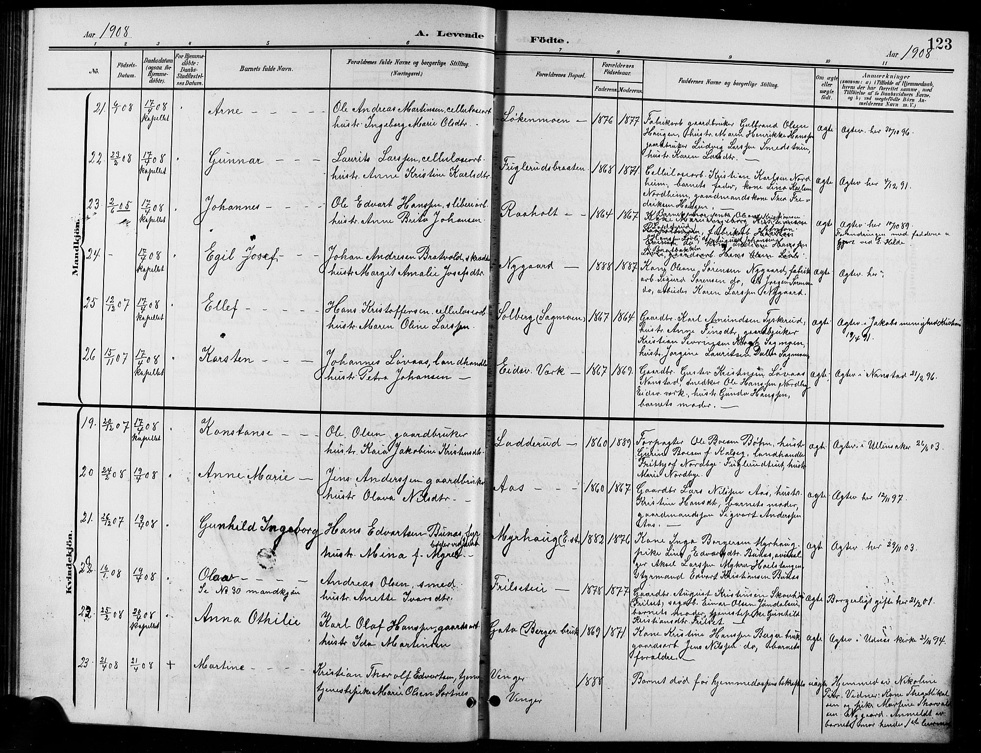 Eidsvoll prestekontor Kirkebøker, AV/SAO-A-10888/G/Ga/L0007: Parish register (copy) no. I 7, 1901-1909, p. 123