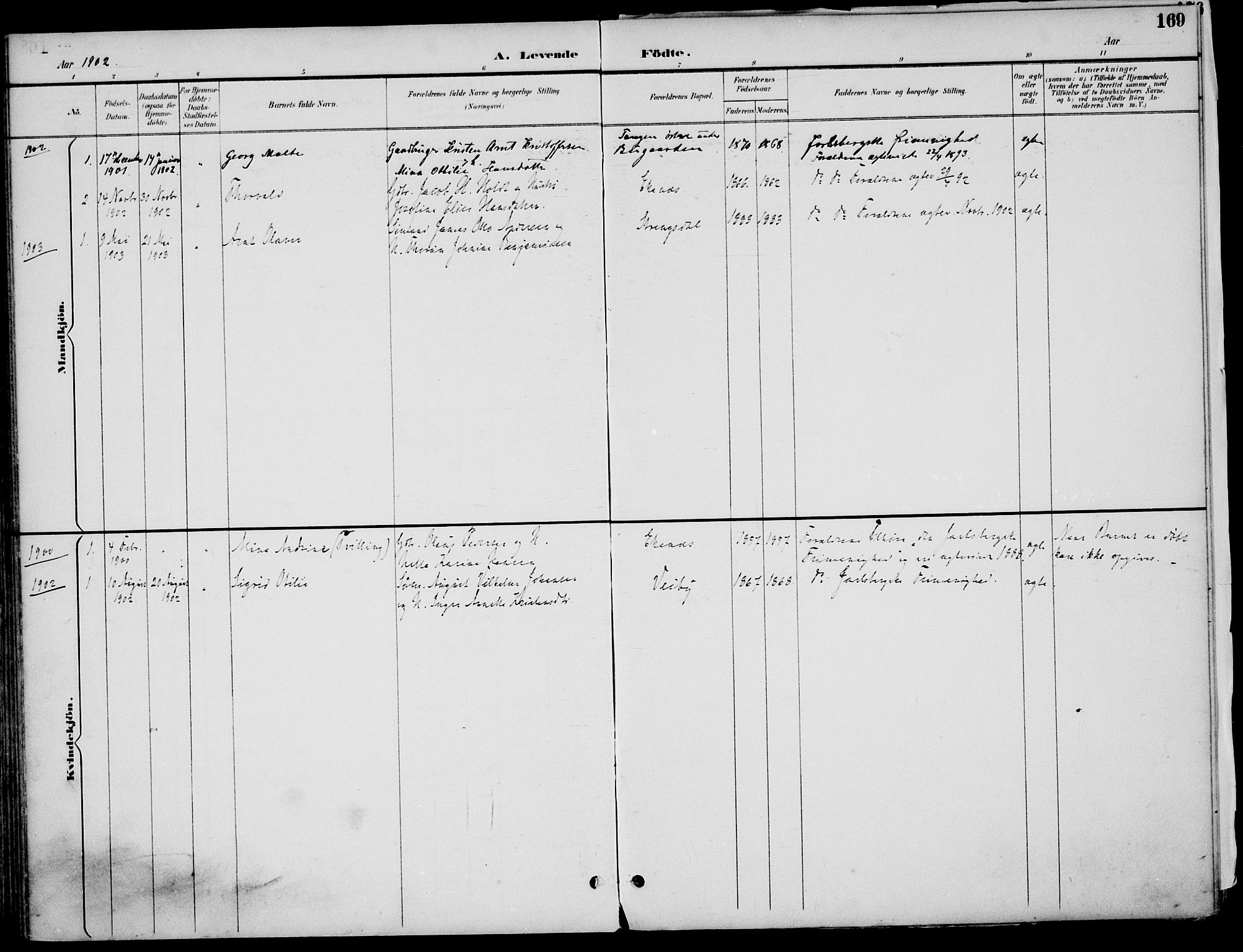 Nøtterøy kirkebøker, AV/SAKO-A-354/F/Fa/L0009: Parish register (official) no. I 9, 1894-1907, p. 169