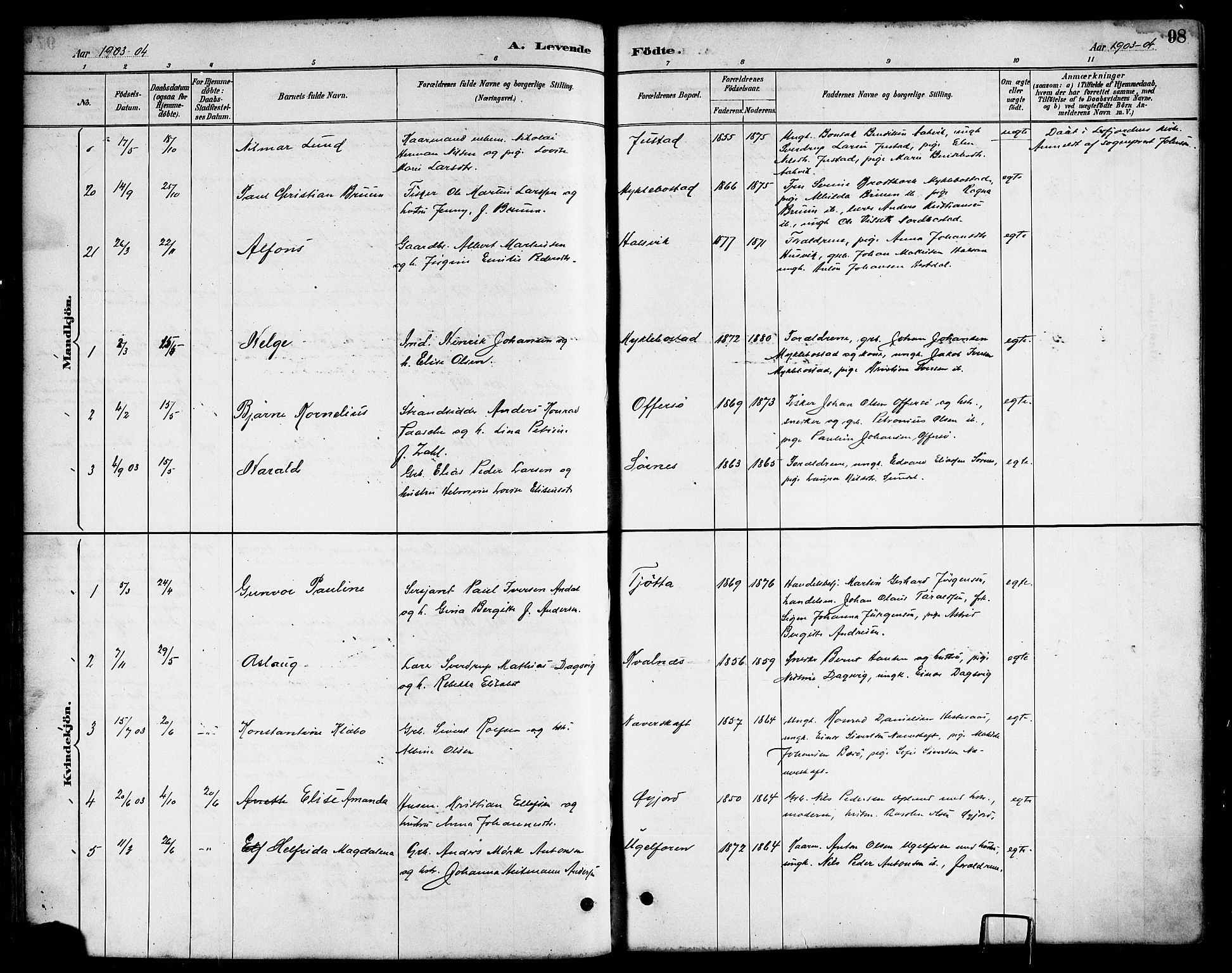 Ministerialprotokoller, klokkerbøker og fødselsregistre - Nordland, AV/SAT-A-1459/817/L0268: Parish register (copy) no. 817C03, 1884-1920, p. 98