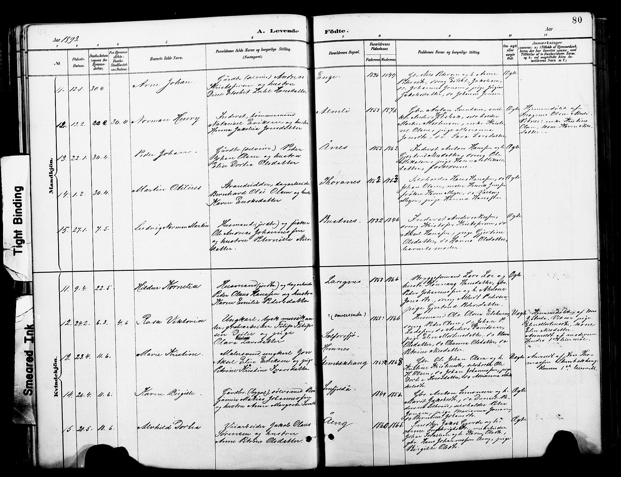 Ministerialprotokoller, klokkerbøker og fødselsregistre - Nordland, AV/SAT-A-1459/827/L0421: Parish register (copy) no. 827C10, 1887-1906, p. 80