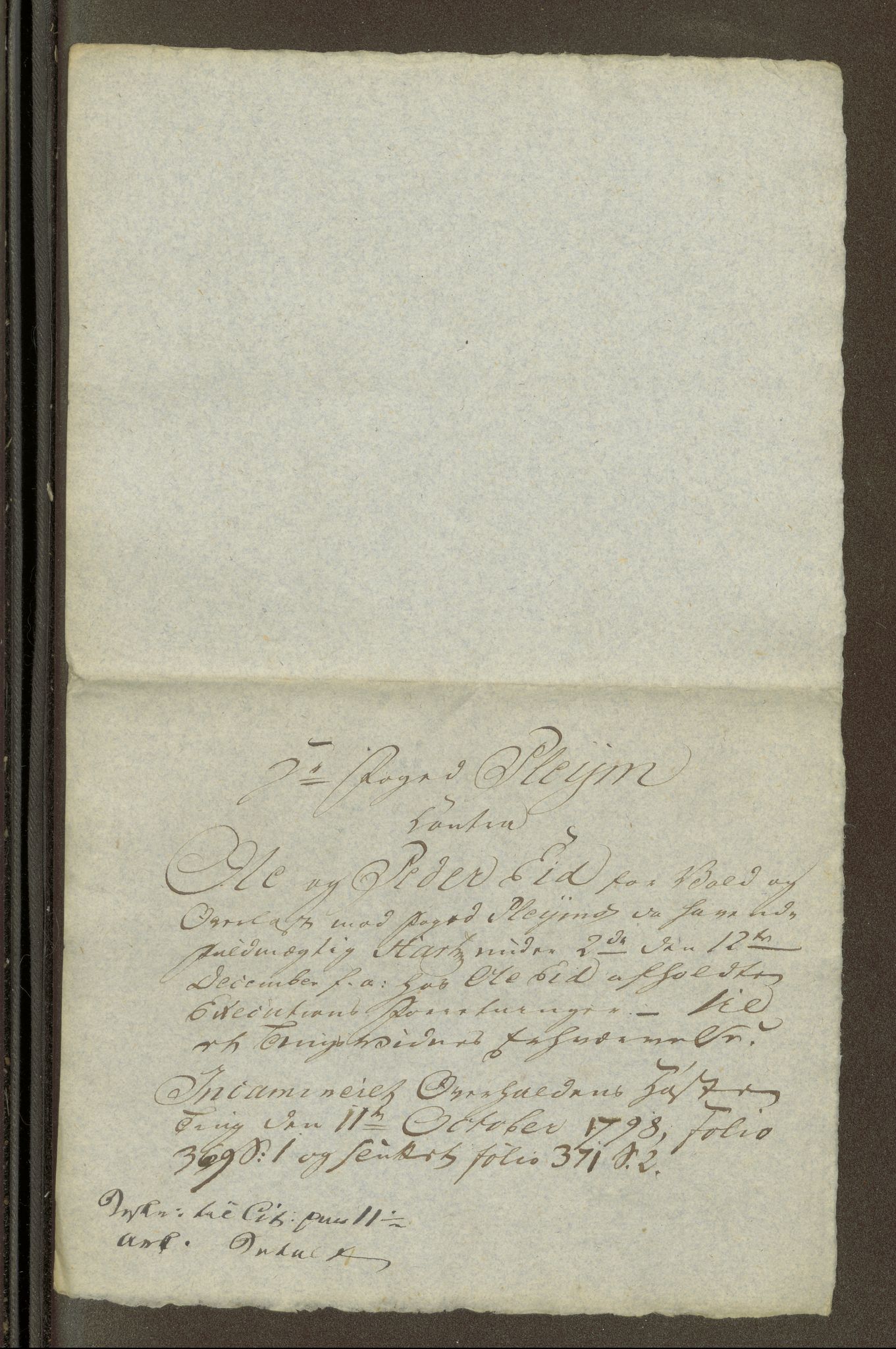 Namdal sorenskriveri, SAT/A-4133/1/1/1O/1Oa/L0007: Sivile og offentlige saker, 1798, p. 345