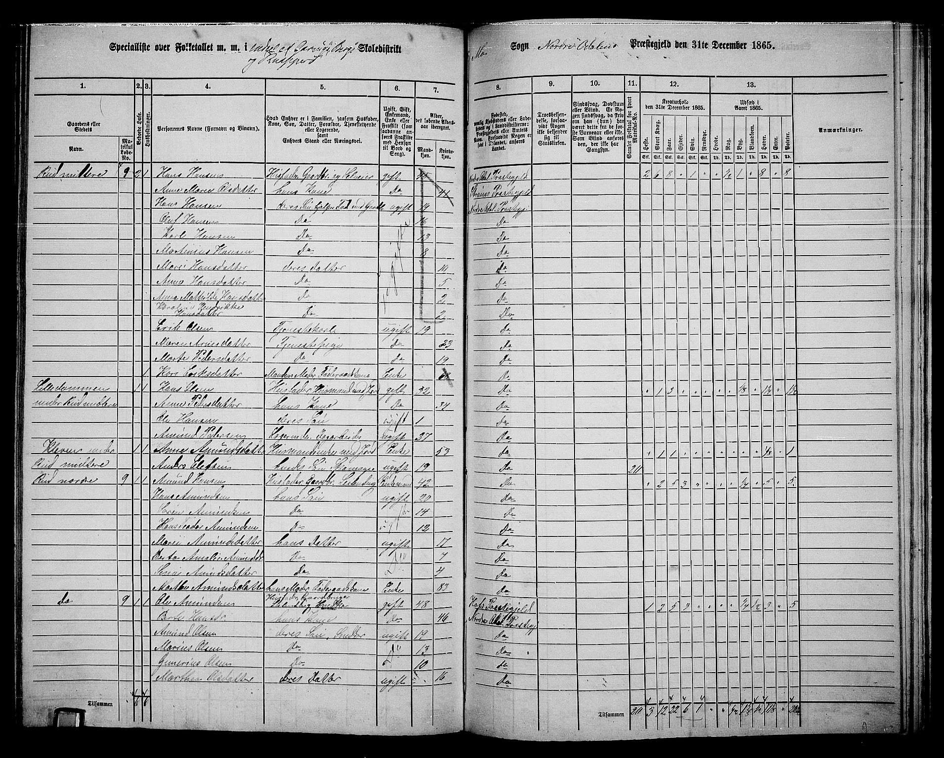 RA, 1865 census for Nord-Odal, 1865, p. 135