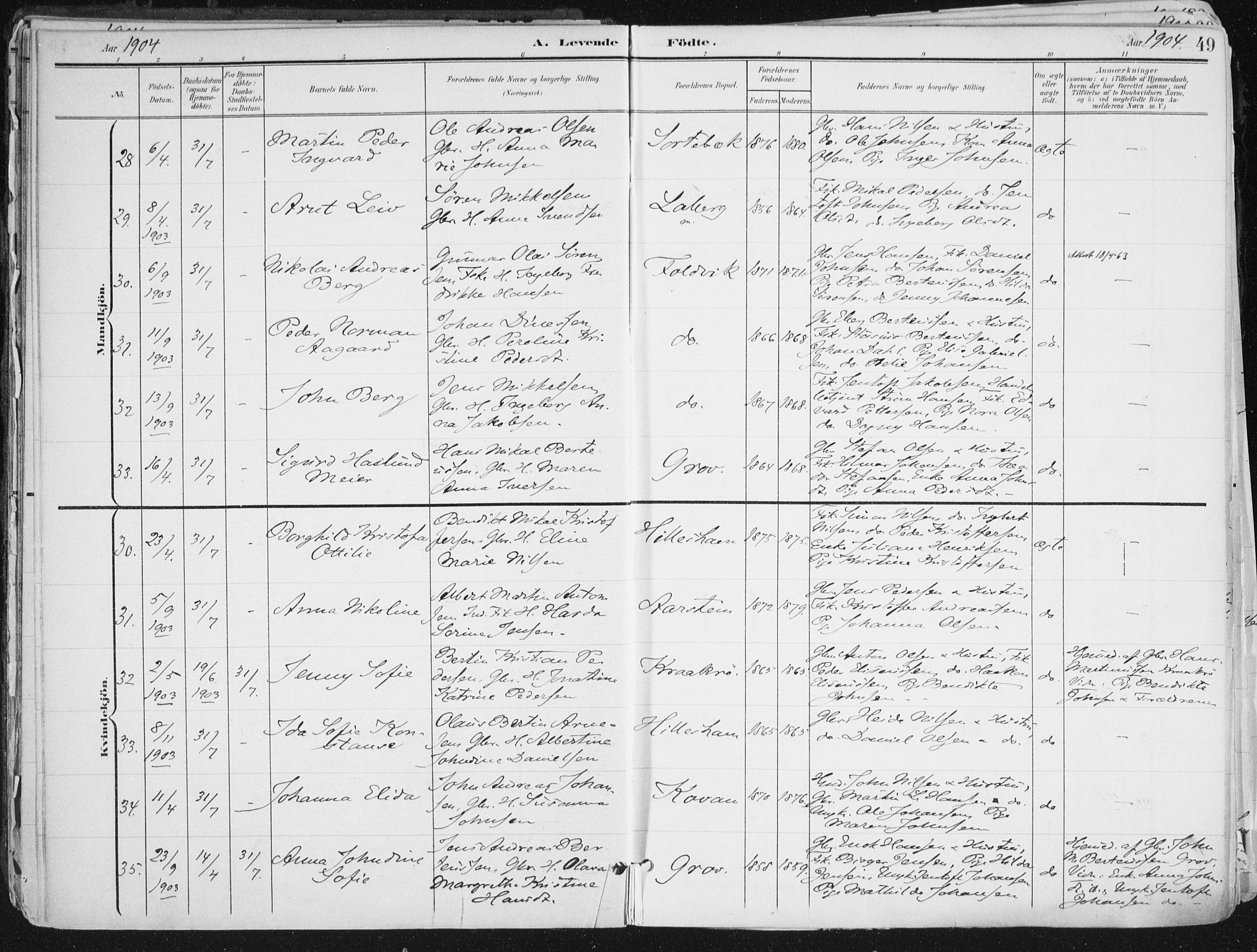 Ibestad sokneprestembete, AV/SATØ-S-0077/H/Ha/Haa/L0017kirke: Parish register (official) no. 17, 1901-1914, p. 49