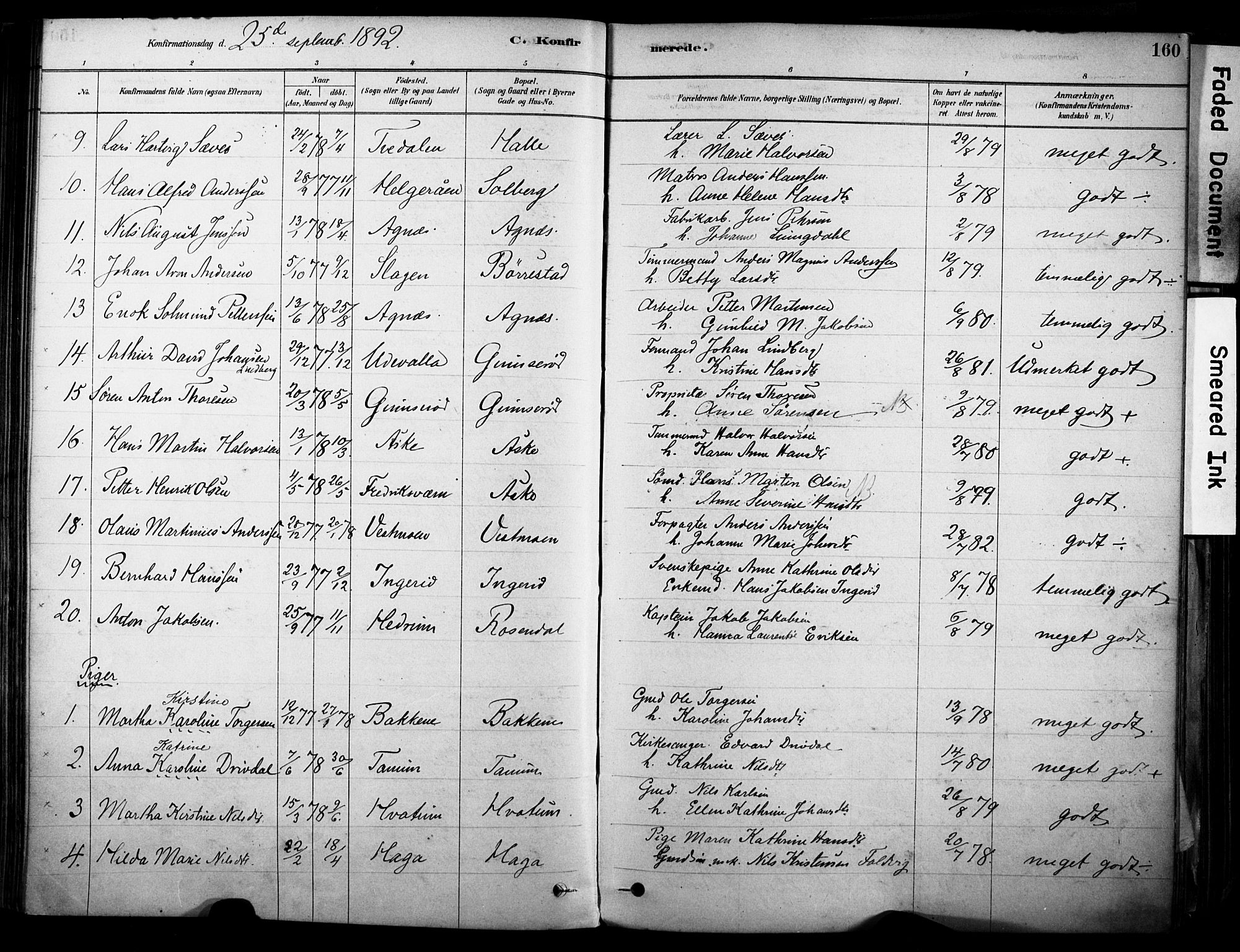 Brunlanes kirkebøker, SAKO/A-342/F/Fc/L0001: Parish register (official) no. III 1, 1878-1899, p. 160