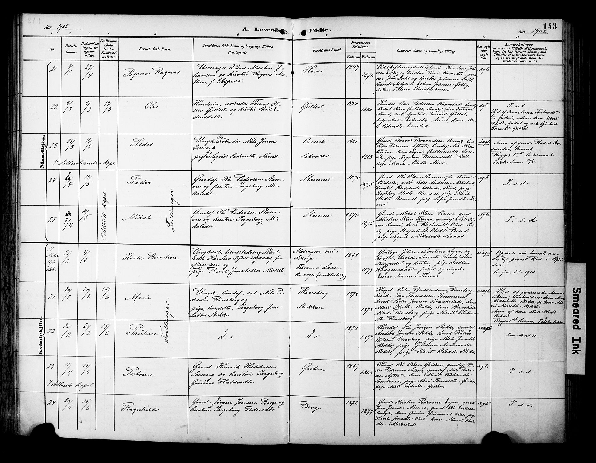 Ministerialprotokoller, klokkerbøker og fødselsregistre - Sør-Trøndelag, AV/SAT-A-1456/695/L1149: Parish register (official) no. 695A09, 1891-1902, p. 143