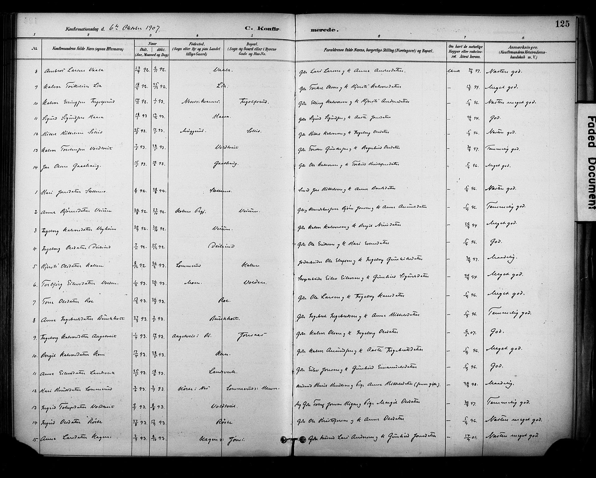 Sauherad kirkebøker, SAKO/A-298/F/Fa/L0009: Parish register (official) no. I 9, 1887-1912, p. 125