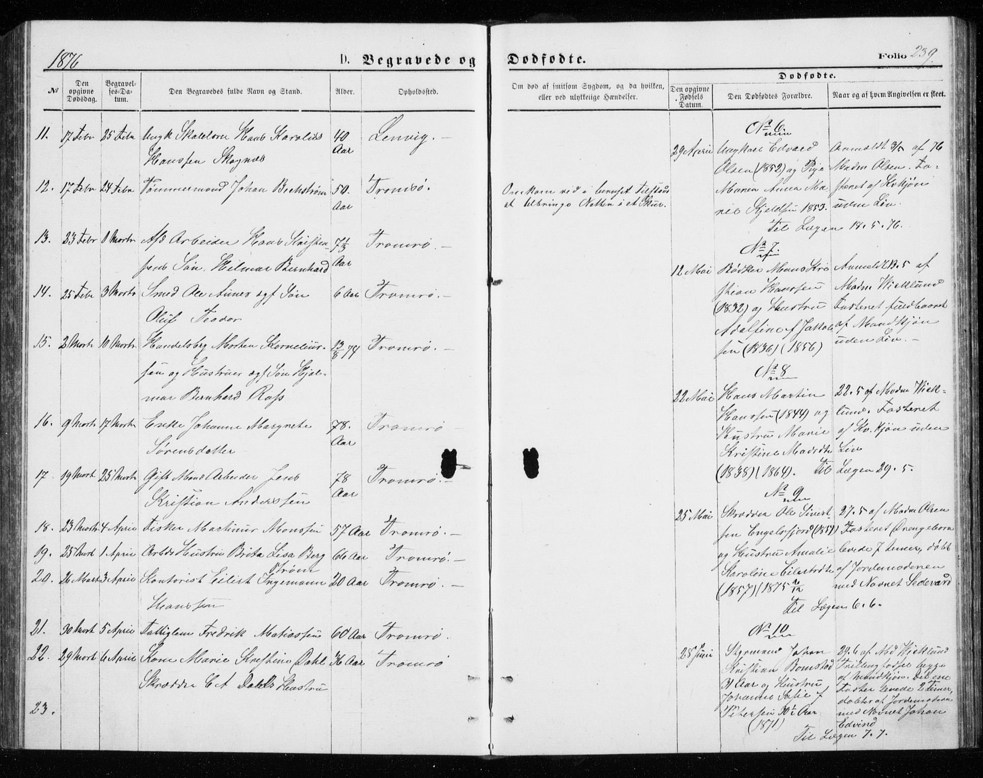 Tromsø sokneprestkontor/stiftsprosti/domprosti, SATØ/S-1343/G/Gb/L0008klokker: Parish register (copy) no. 8, 1875-1879, p. 239
