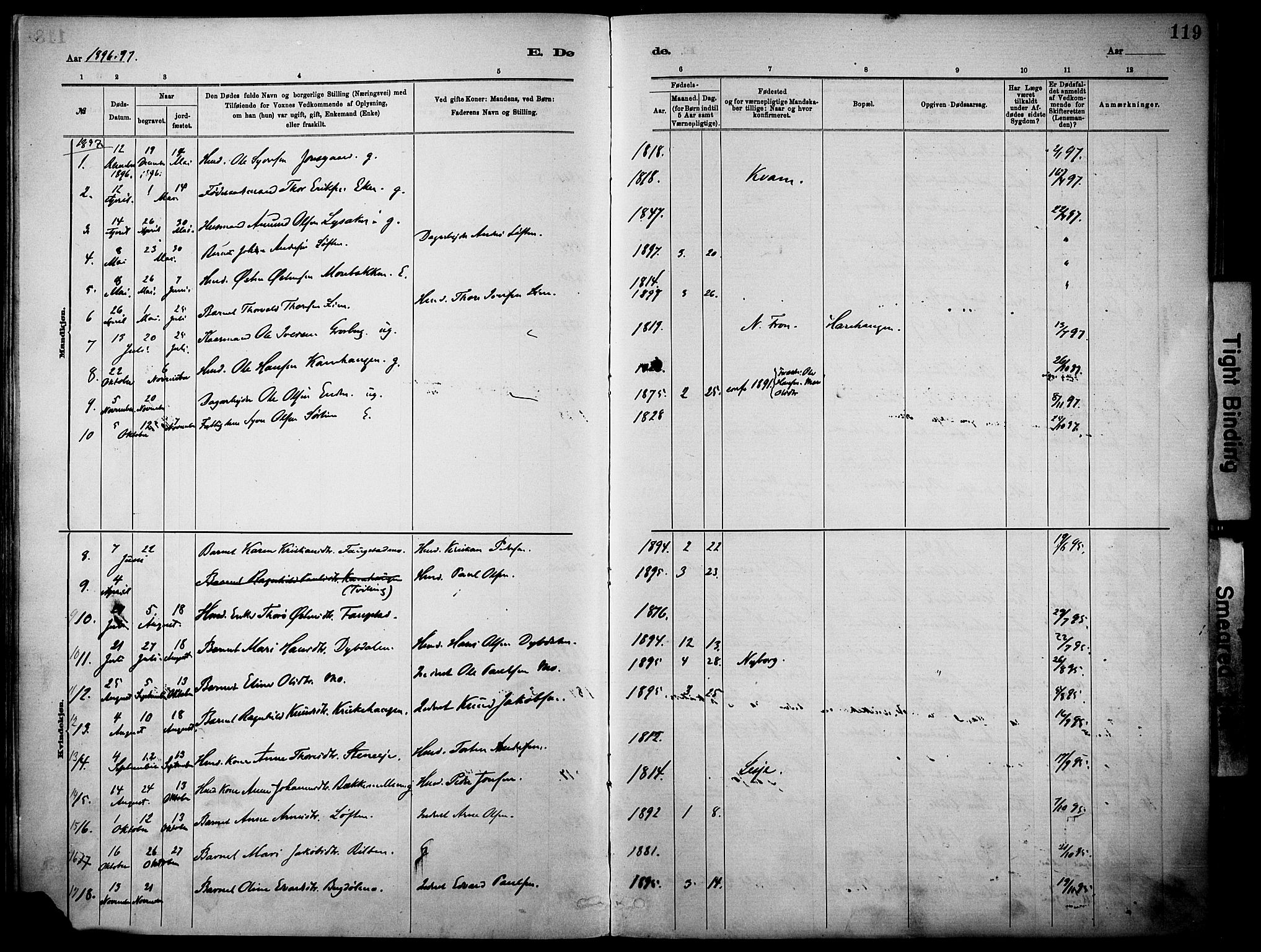 Vågå prestekontor, SAH/PREST-076/H/Ha/Haa/L0010: Parish register (official) no. 10, 1887-1904, p. 119