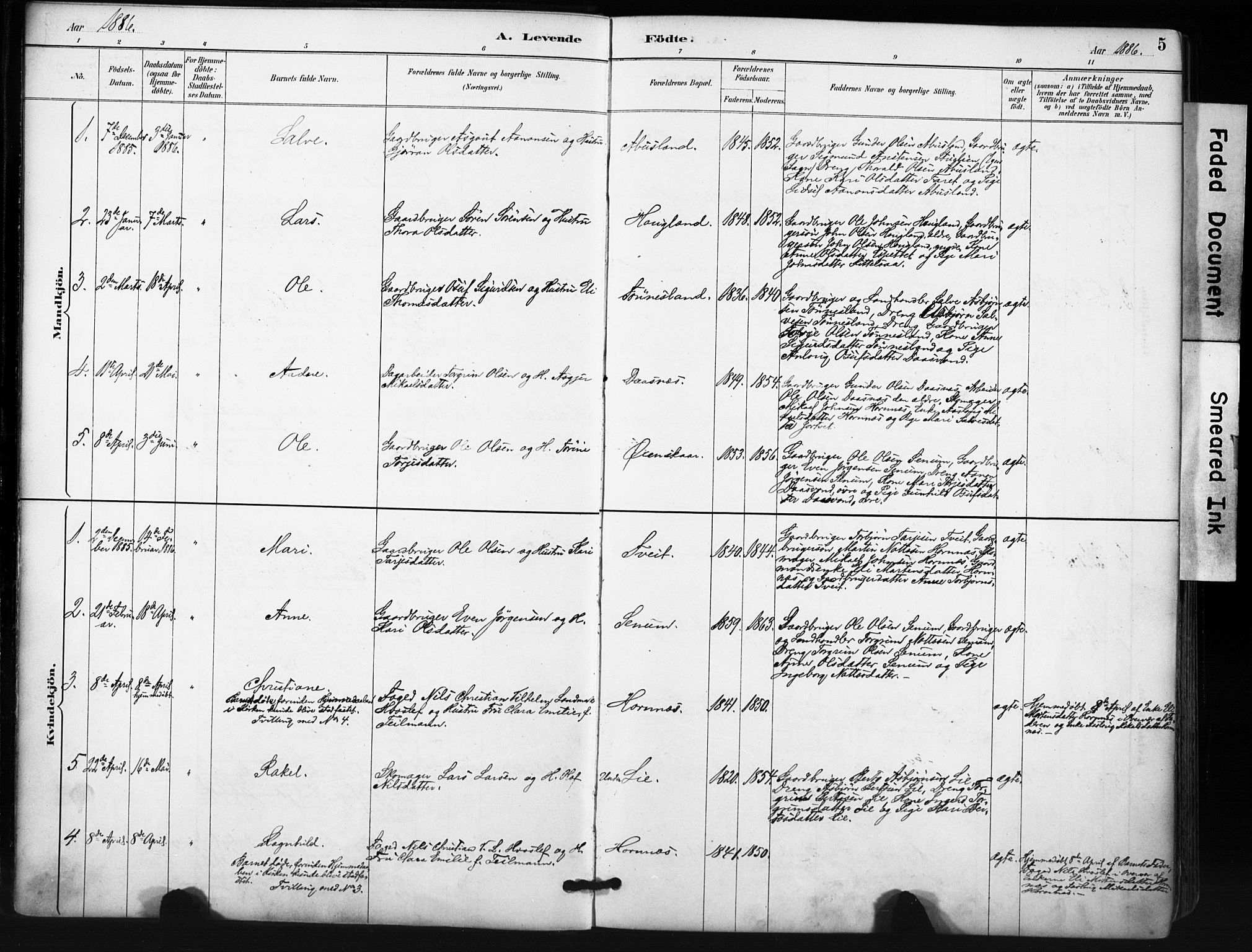 Evje sokneprestkontor, SAK/1111-0008/F/Fa/Fab/L0003: Parish register (official) no. A 3, 1884-1909, p. 5