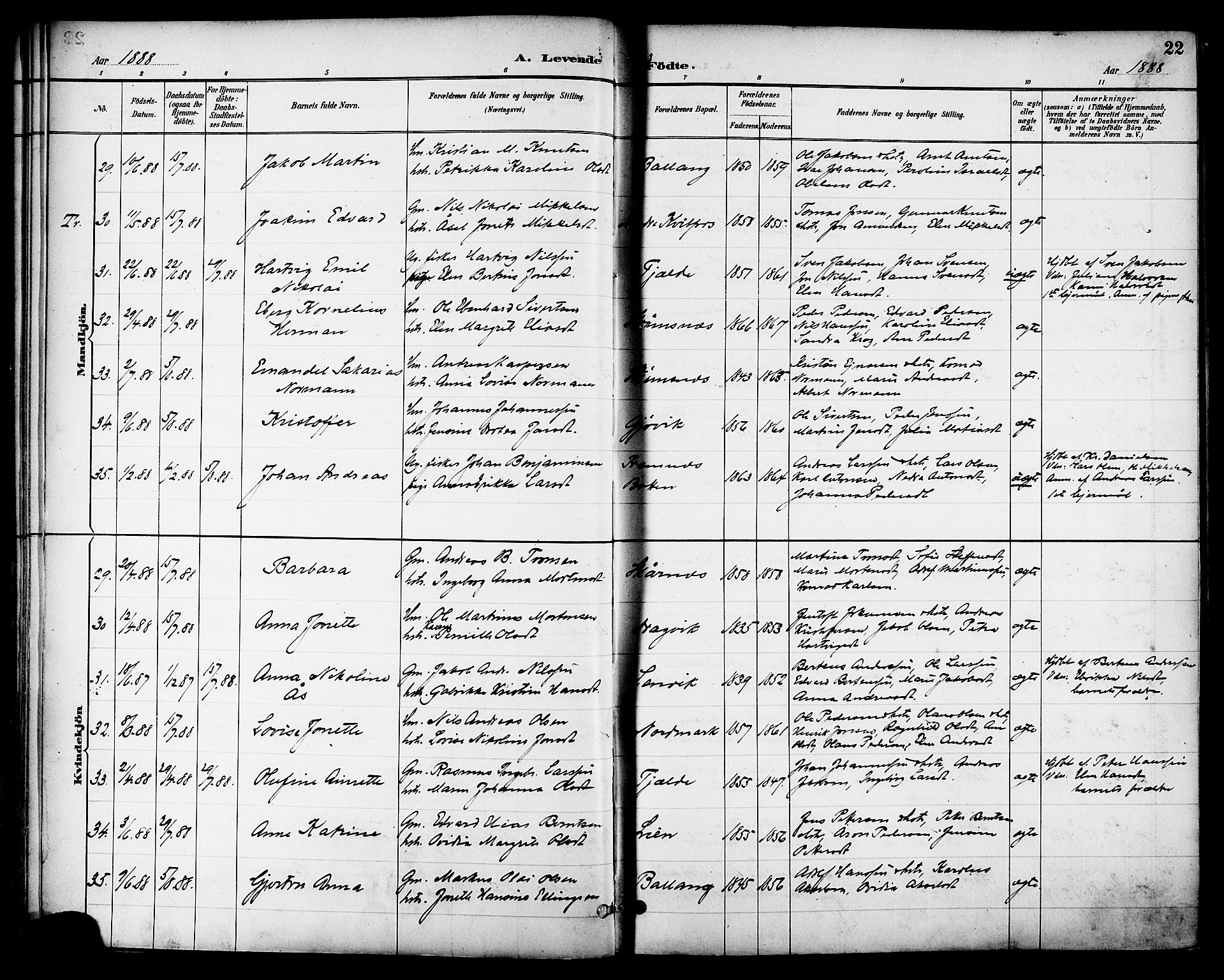 Ministerialprotokoller, klokkerbøker og fødselsregistre - Nordland, AV/SAT-A-1459/863/L0898: Parish register (official) no. 863A10, 1886-1897, p. 22