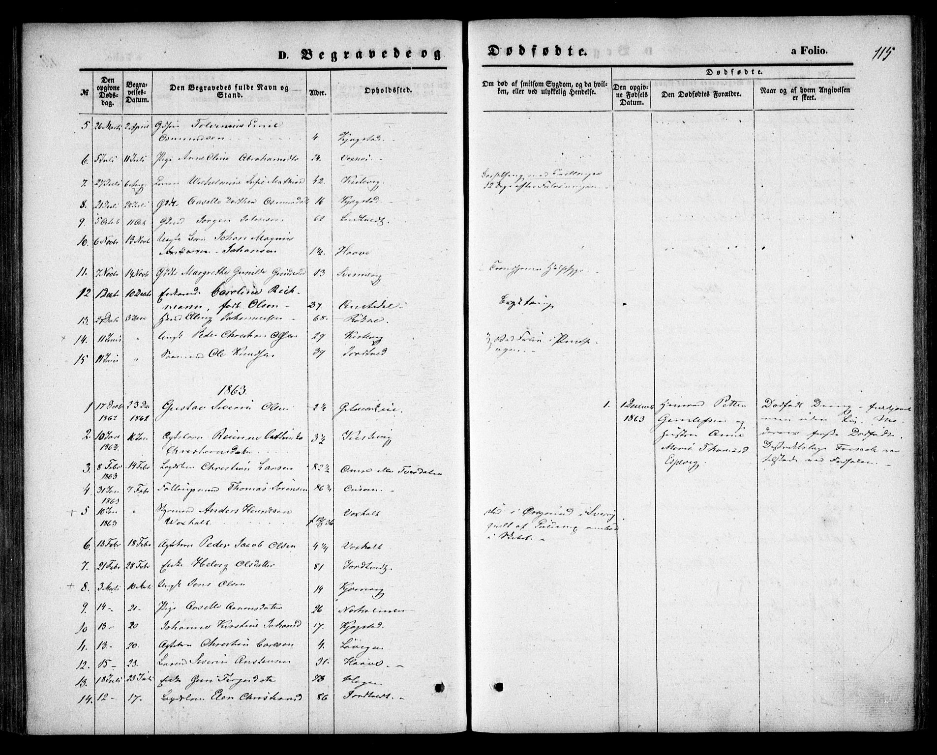 Hommedal sokneprestkontor, AV/SAK-1111-0023/F/Fa/Faa/L0002: Parish register (official) no. A 2, 1861-1884, p. 115