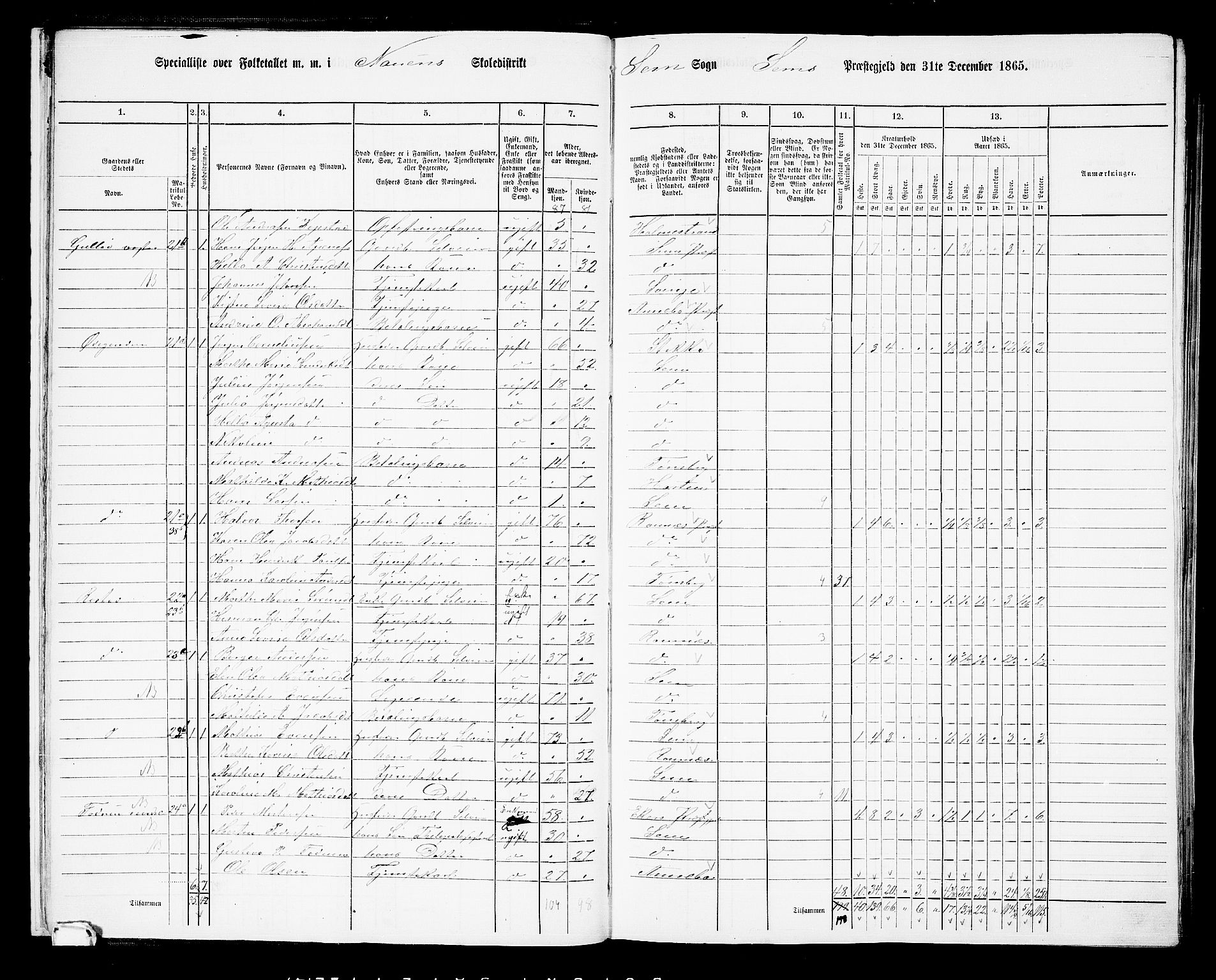 RA, 1865 census for Sem, 1865, p. 20