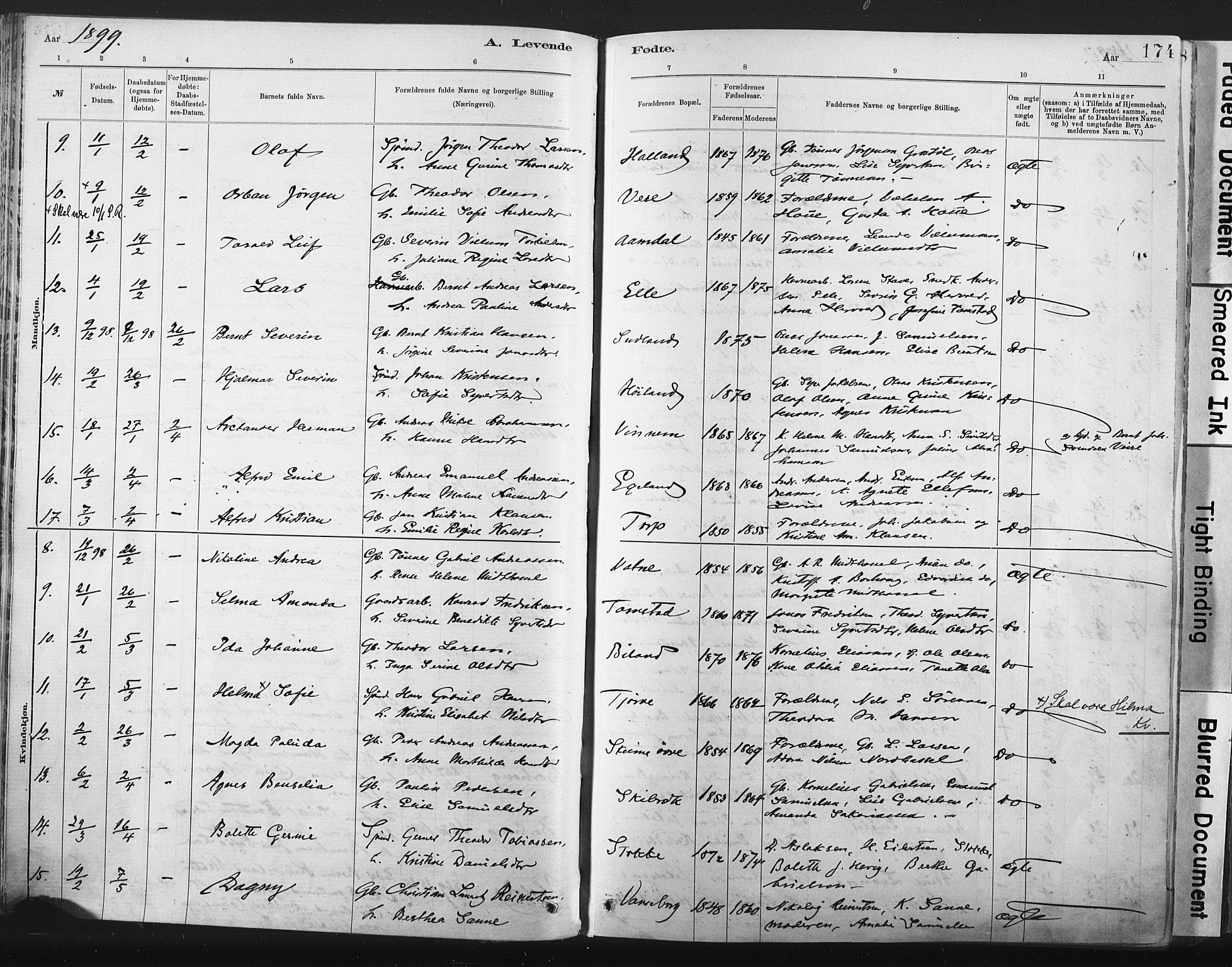 Lista sokneprestkontor, AV/SAK-1111-0027/F/Fa/L0012: Parish register (official) no. A 12, 1879-1903, p. 174