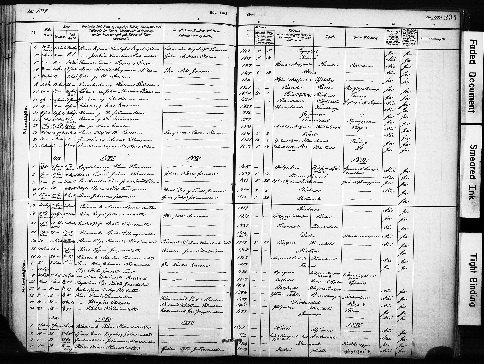 Gulen sokneprestembete, SAB/A-80201/H/Haa/Haab/L0001: Parish register (official) no. B 1, 1881-1905, p. 234