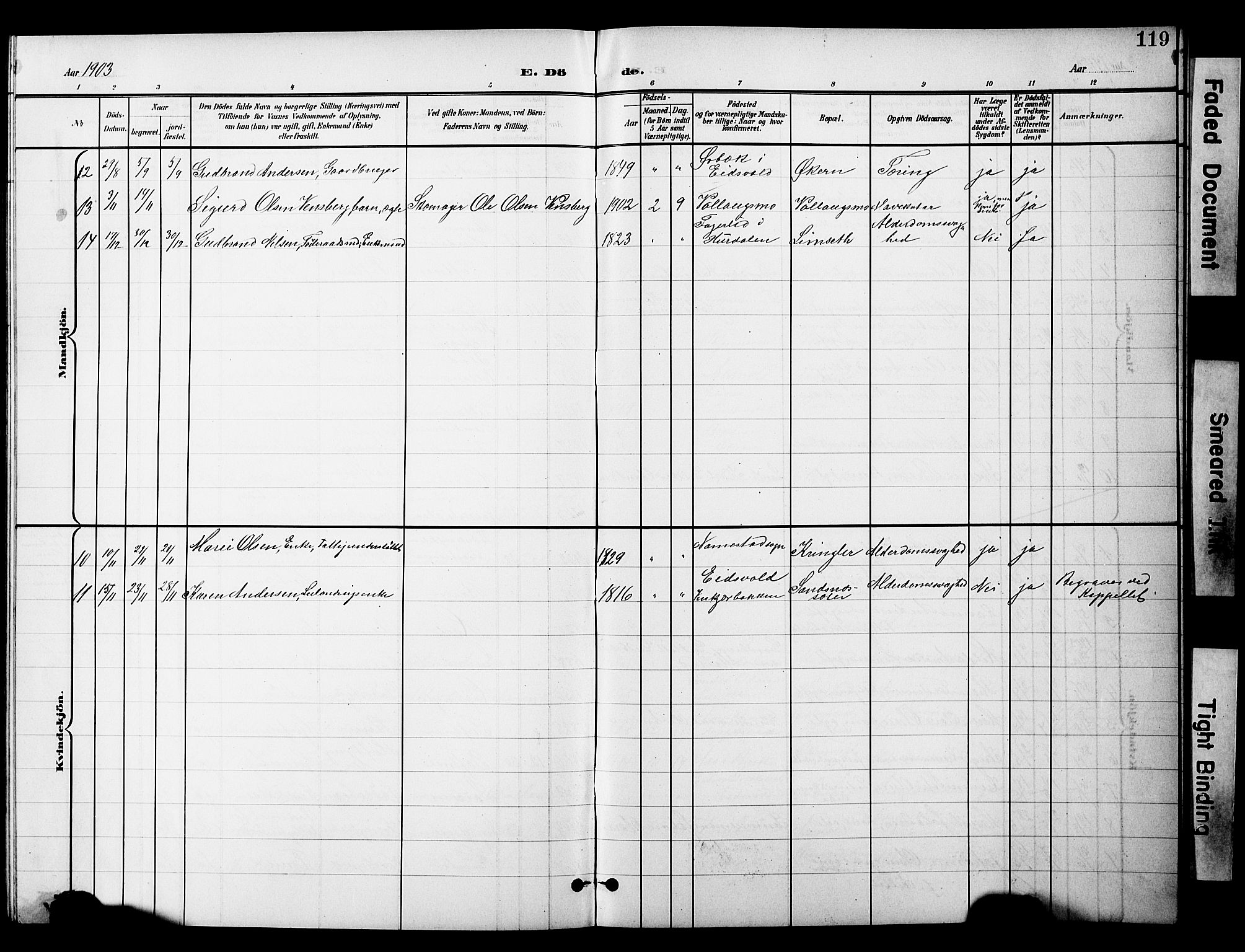 Nannestad prestekontor Kirkebøker, AV/SAO-A-10414a/G/Gc/L0001: Parish register (copy) no. III 1, 1901-1916, p. 119