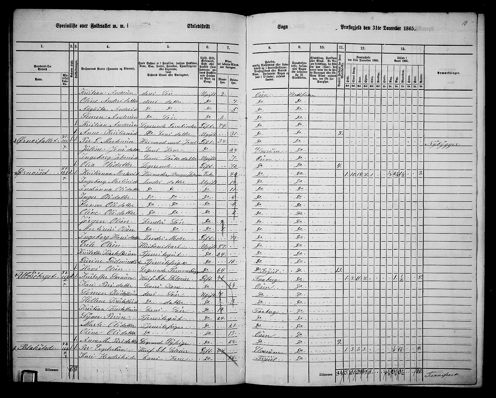 RA, 1865 census for Trysil, 1865, p. 174