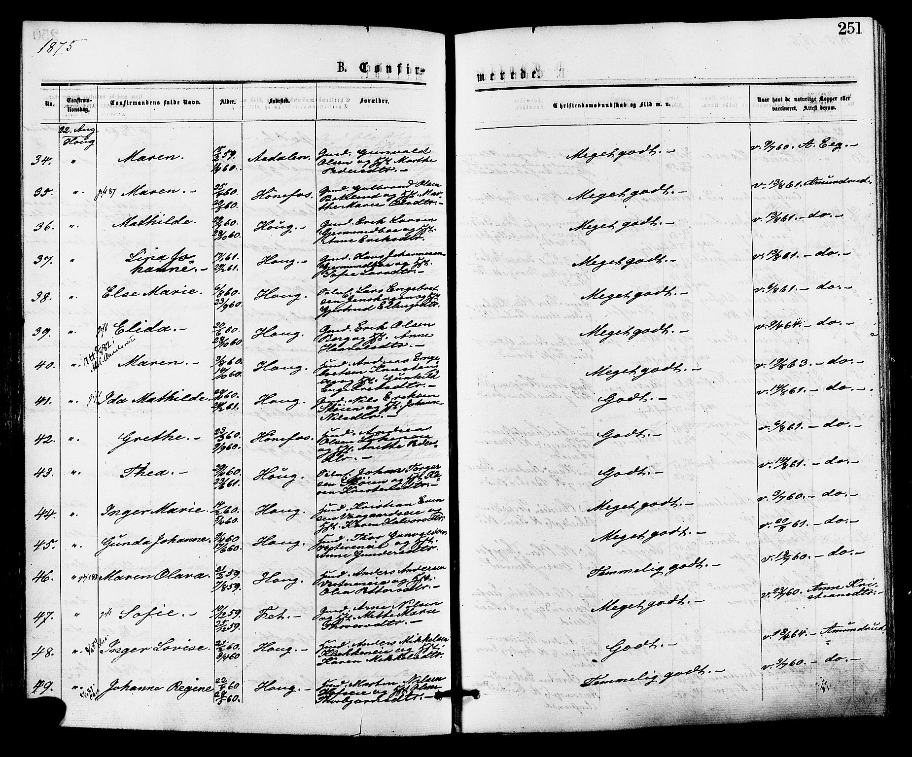 Norderhov kirkebøker, AV/SAKO-A-237/F/Fa/L0015: Parish register (official) no. 15, 1875-1884, p. 251