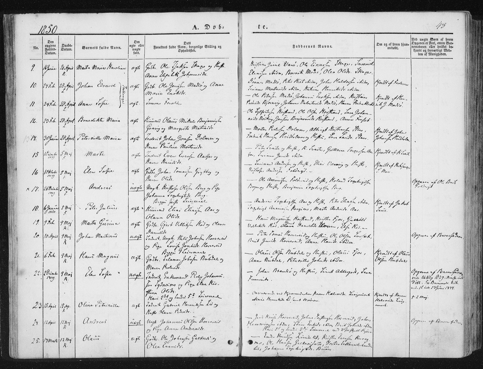 Ministerialprotokoller, klokkerbøker og fødselsregistre - Nord-Trøndelag, SAT/A-1458/780/L0640: Parish register (official) no. 780A05, 1845-1856, p. 43