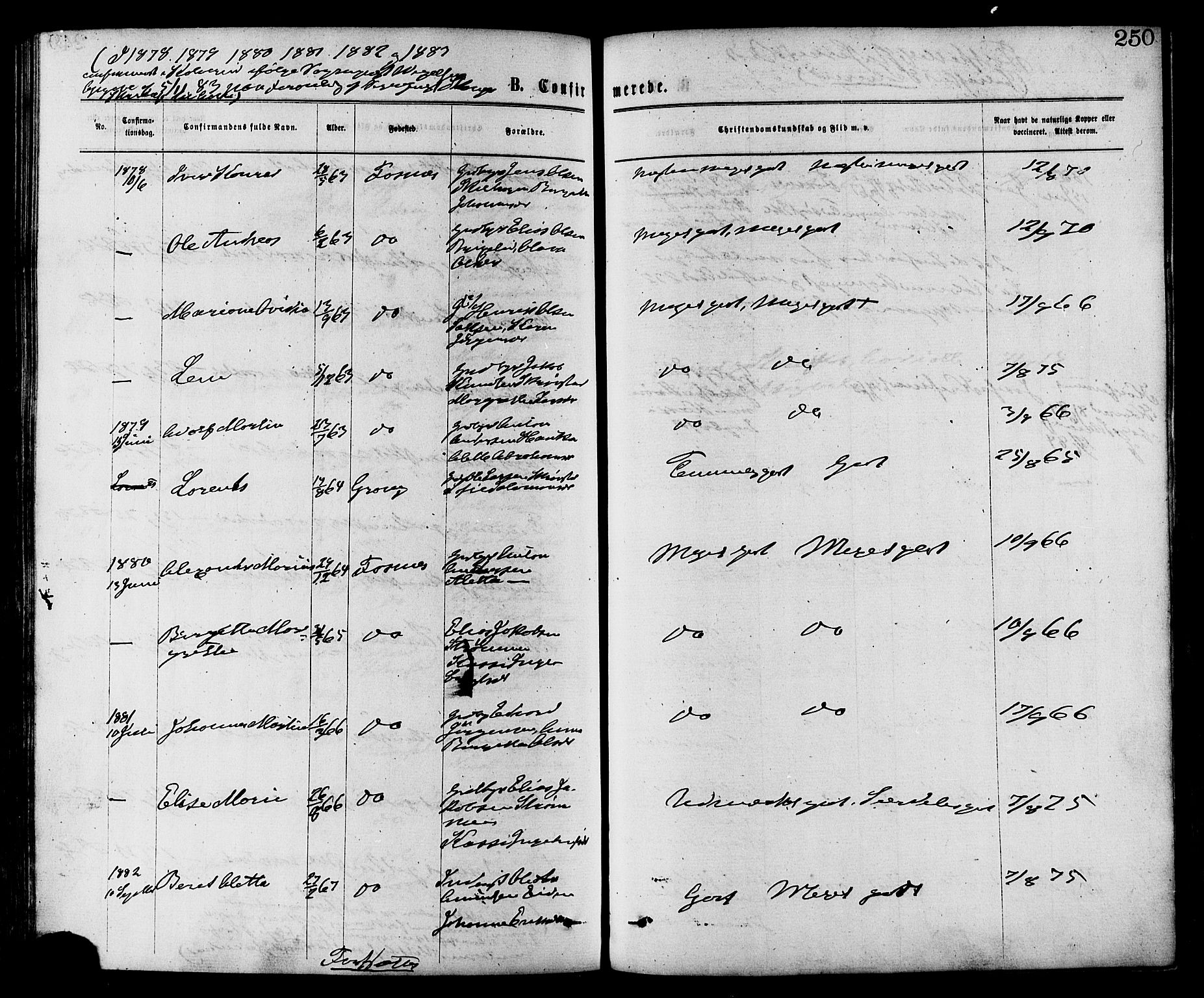 Ministerialprotokoller, klokkerbøker og fødselsregistre - Nord-Trøndelag, AV/SAT-A-1458/773/L0616: Parish register (official) no. 773A07, 1870-1887, p. 250