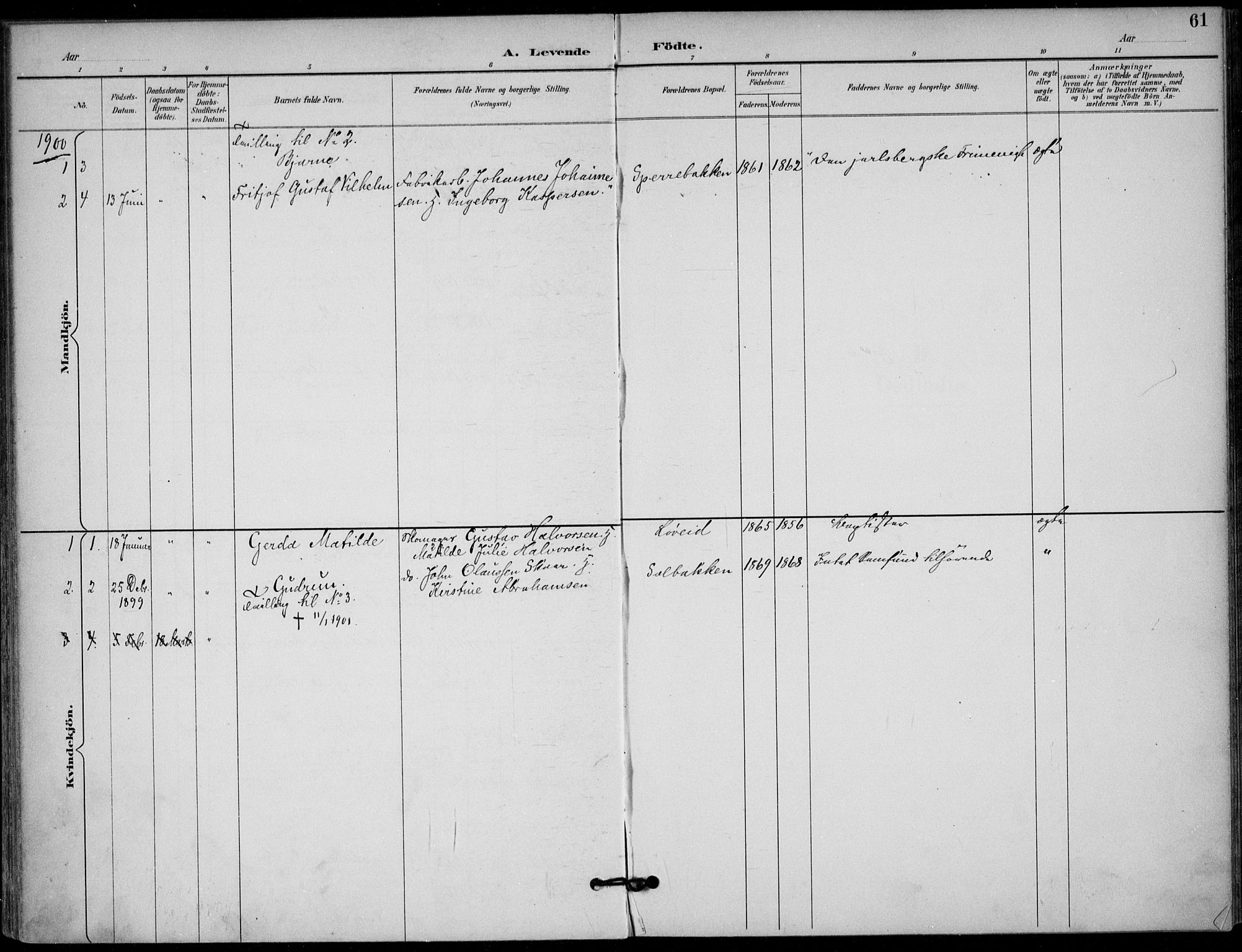 Solum kirkebøker, SAKO/A-306/F/Fb/L0002: Parish register (official) no. II 2, 1893-1901, p. 61