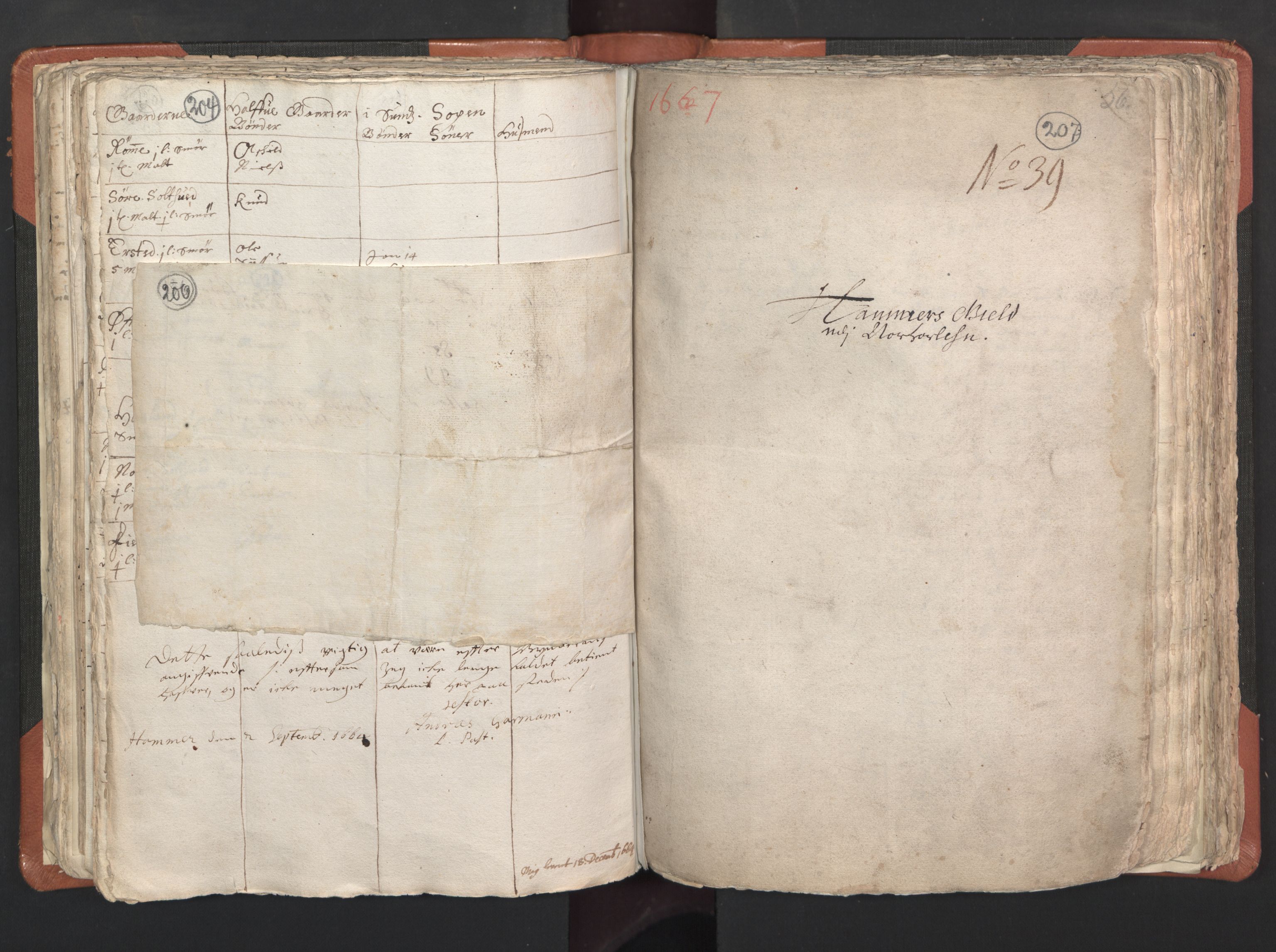 RA, Vicar's Census 1664-1666, no. 22: Nordhordland deanery, 1664-1666, p. 206-207