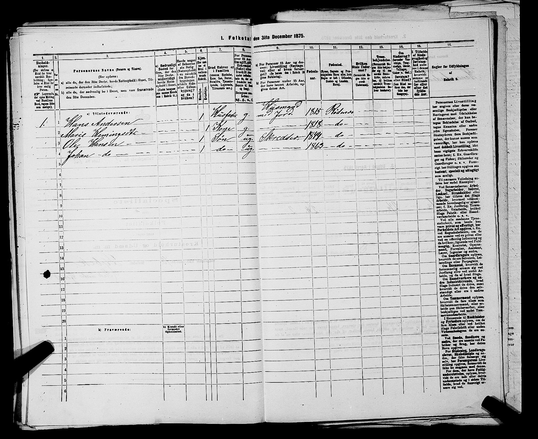 RA, 1875 census for 0120P Rødenes, 1875, p. 494