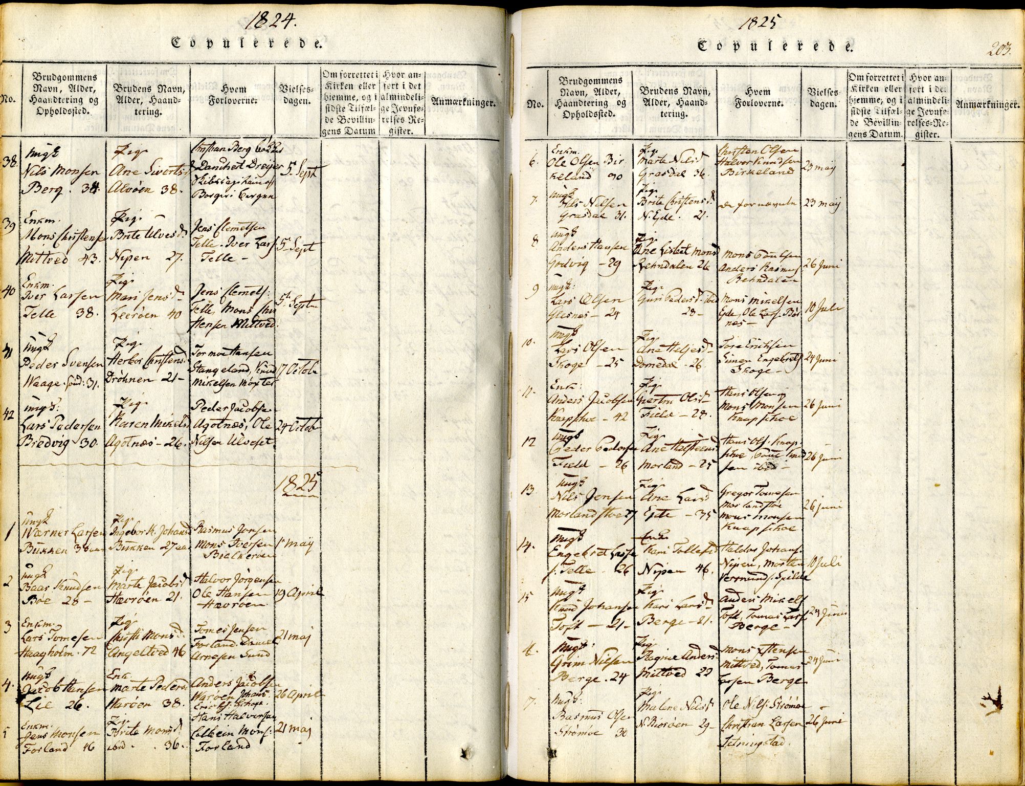 Sund sokneprestembete, AV/SAB-A-99930: Parish register (official) no. A 11, 1814-1825, p. 203