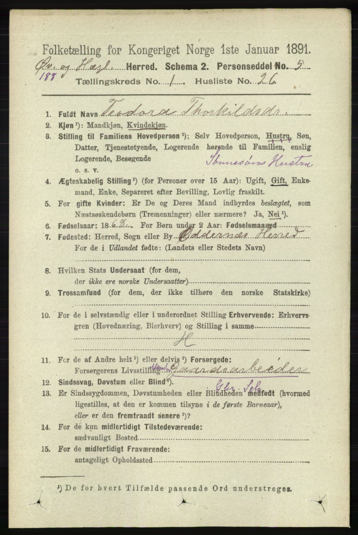 RA, 1891 census for 1016 Øvrebø og Hægeland, 1891, p. 217