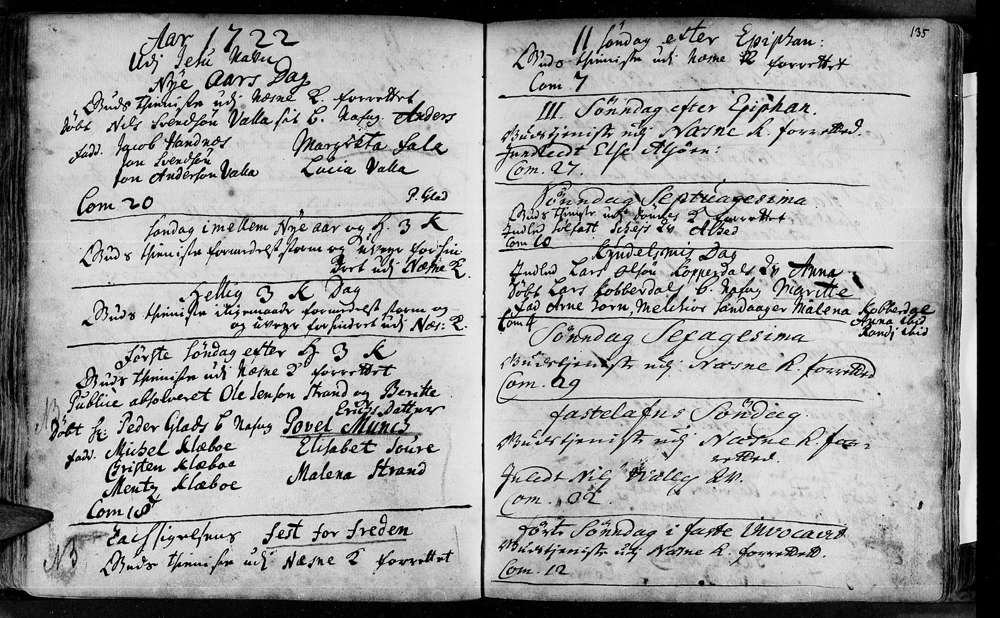 Ministerialprotokoller, klokkerbøker og fødselsregistre - Nordland, SAT/A-1459/838/L0542: Parish register (official) no. 838A01, 1704-1737, p. 135