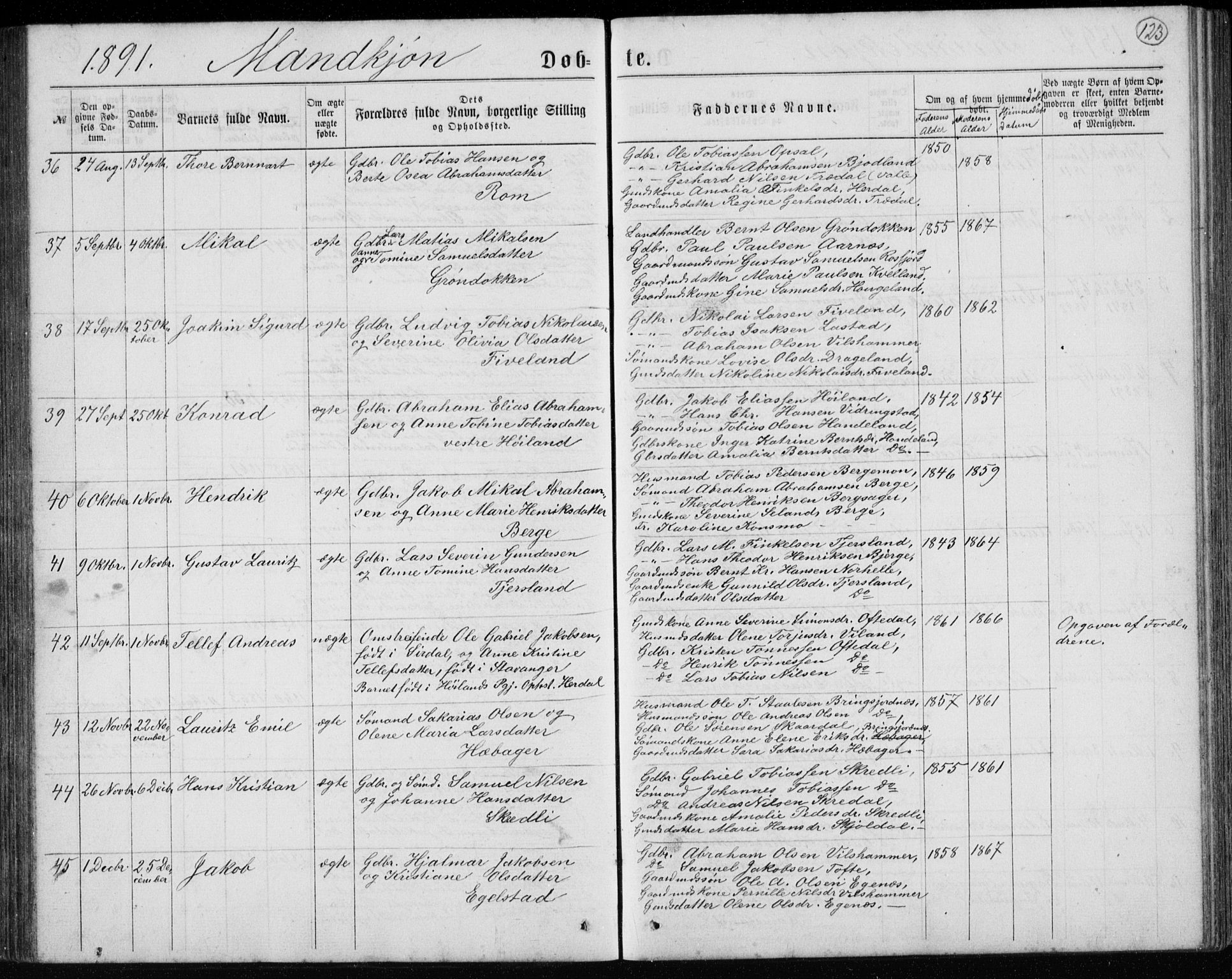 Lyngdal sokneprestkontor, AV/SAK-1111-0029/F/Fb/Fbc/L0004: Parish register (copy) no. B 4, 1878-1896, p. 123