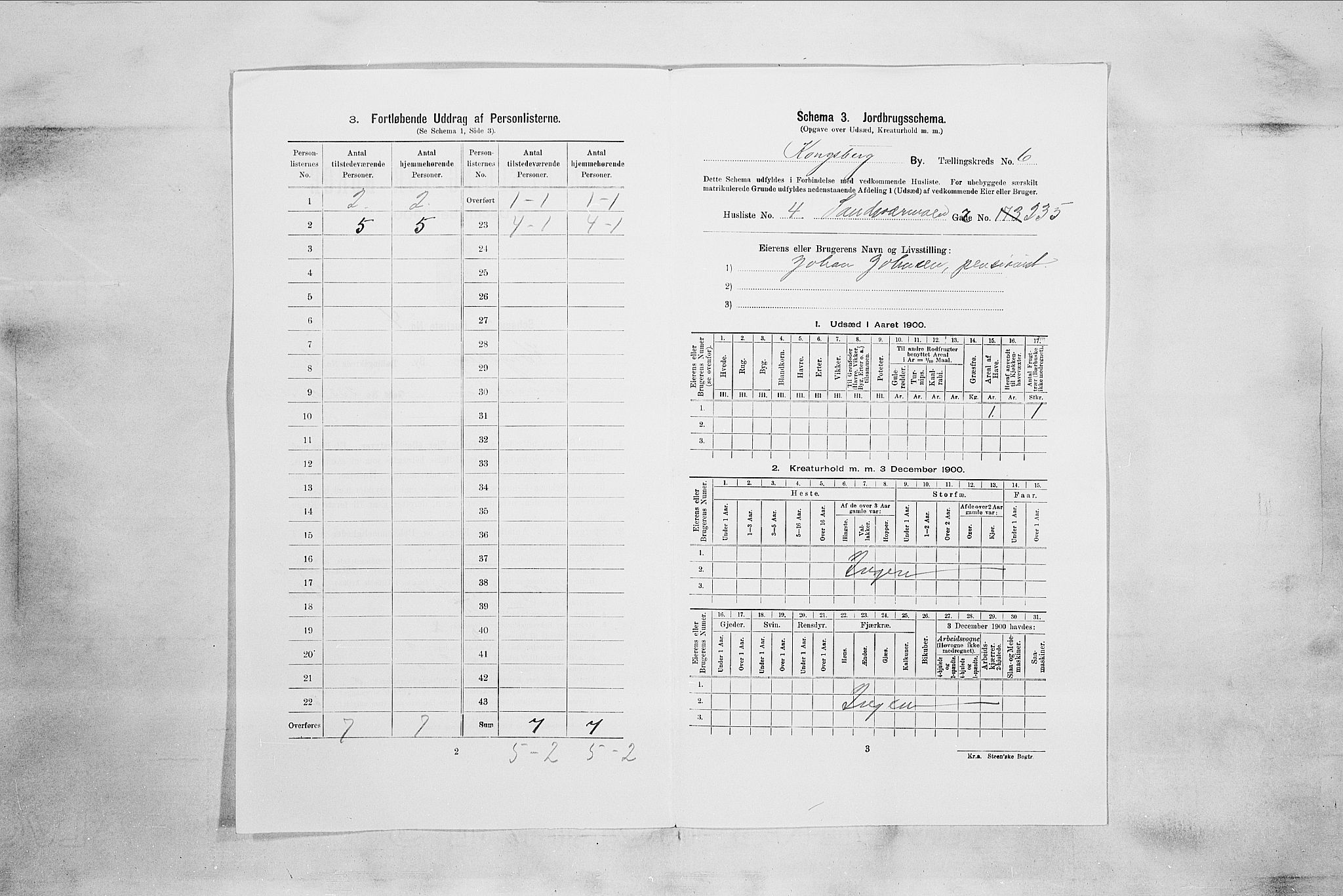 RA, 1900 census for Kongsberg, 1900, p. 1045