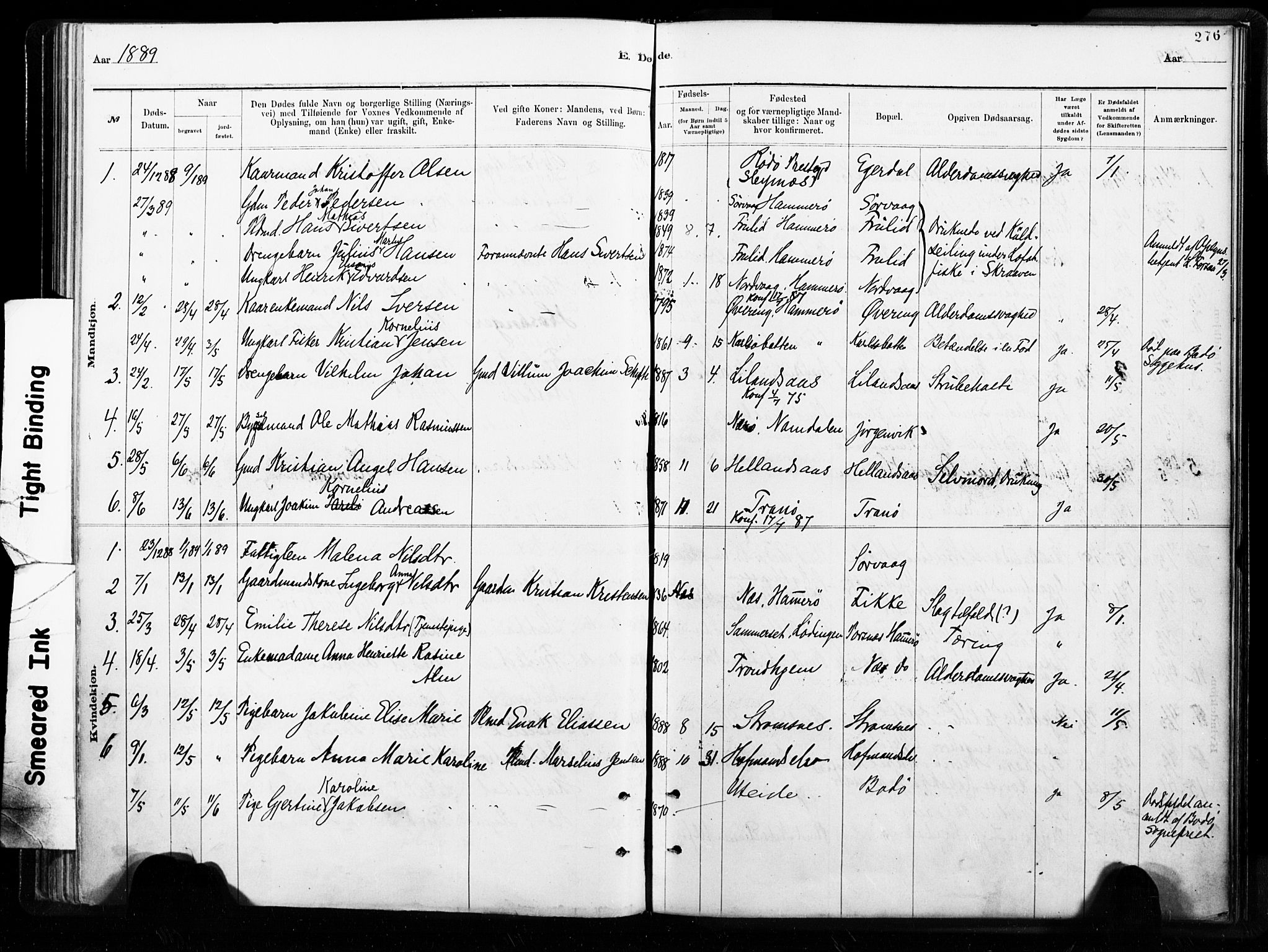 Ministerialprotokoller, klokkerbøker og fødselsregistre - Nordland, SAT/A-1459/859/L0846: Parish register (official) no. 859A06, 1878-1889, p. 276