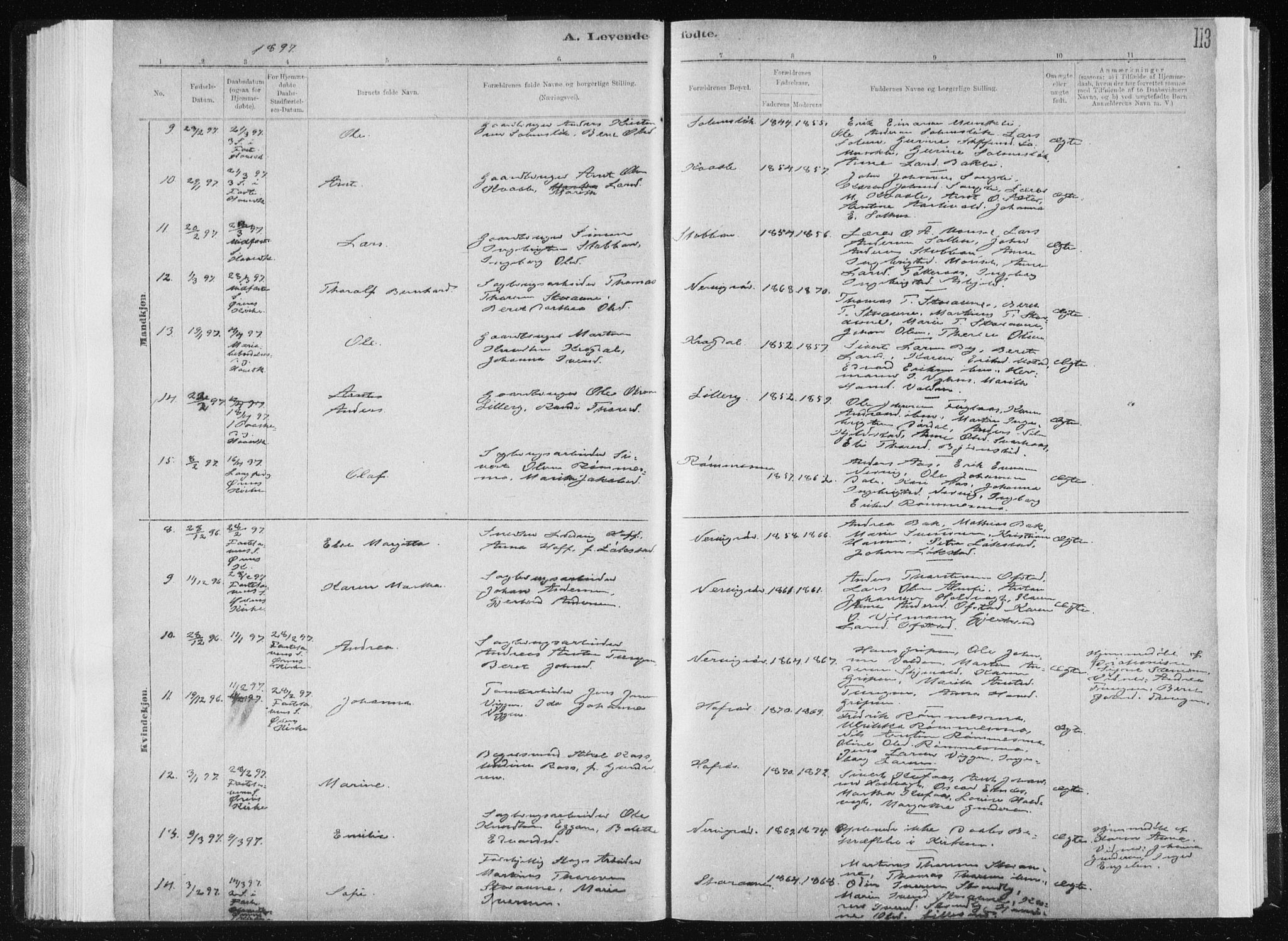 Ministerialprotokoller, klokkerbøker og fødselsregistre - Sør-Trøndelag, AV/SAT-A-1456/668/L0818: Parish register (copy) no. 668C07, 1885-1898, p. 113