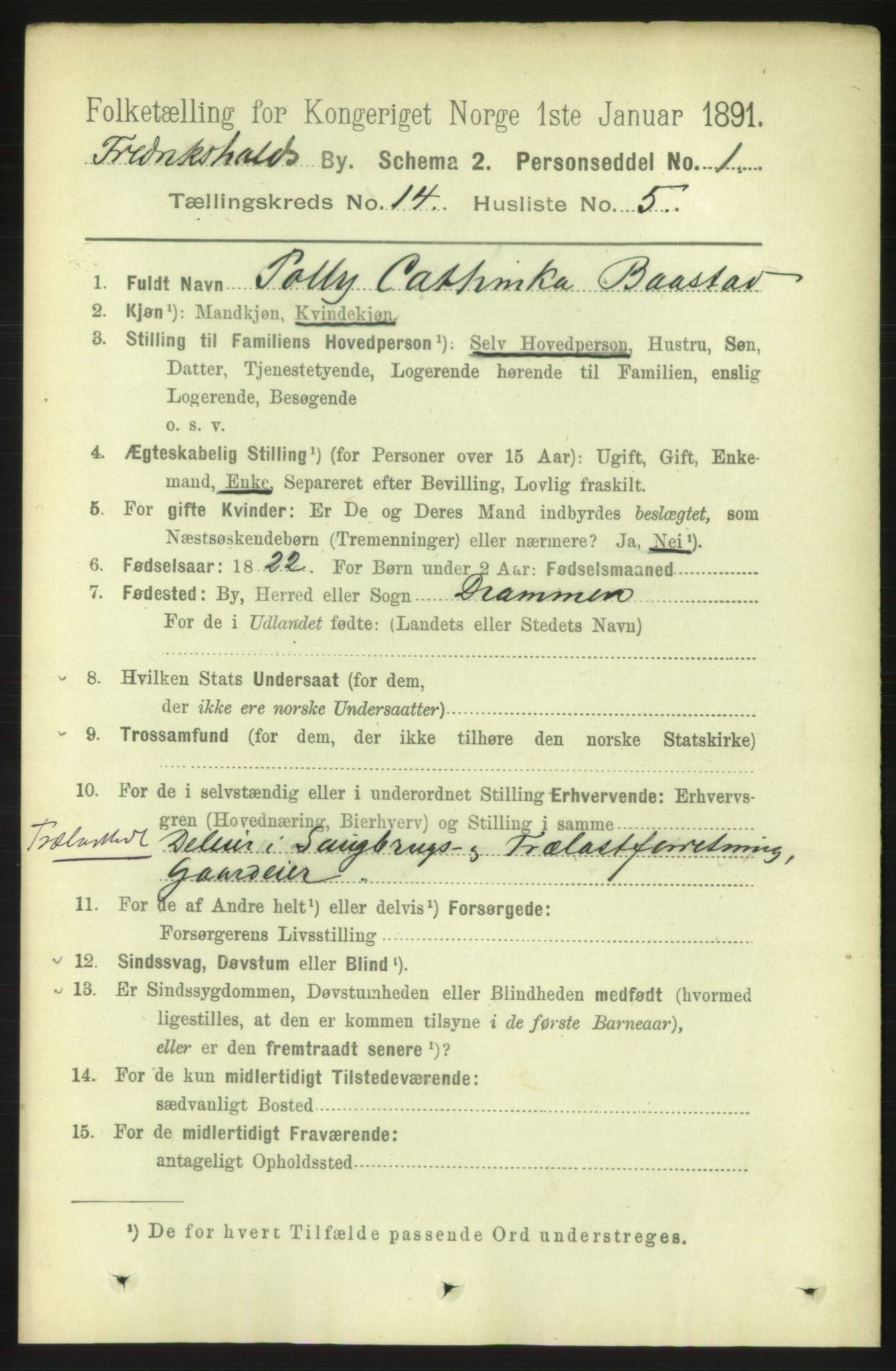 RA, 1891 census for 0101 Fredrikshald, 1891, p. 9060