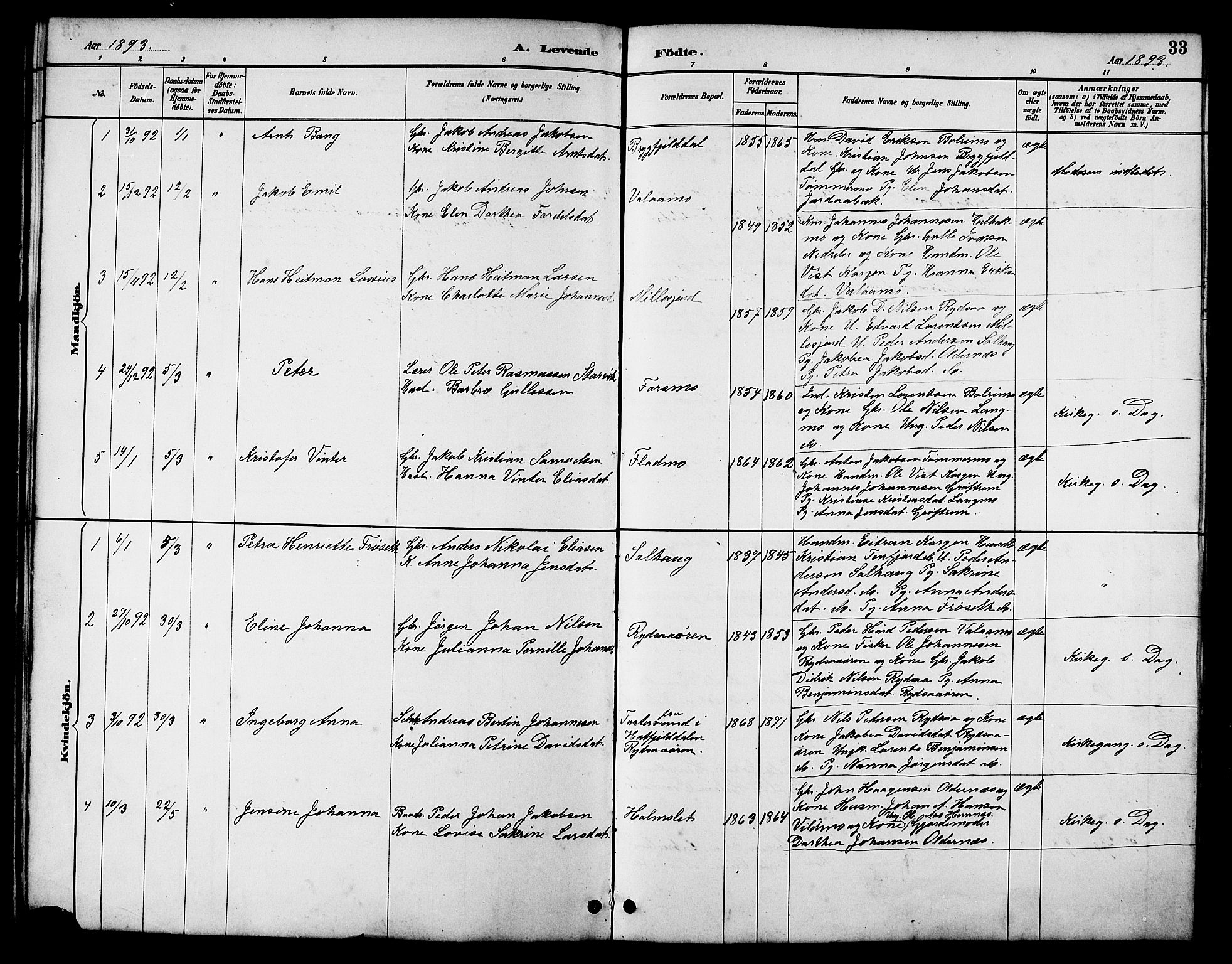 Ministerialprotokoller, klokkerbøker og fødselsregistre - Nordland, AV/SAT-A-1459/826/L0383: Parish register (copy) no. 826C03, 1887-1896, p. 33