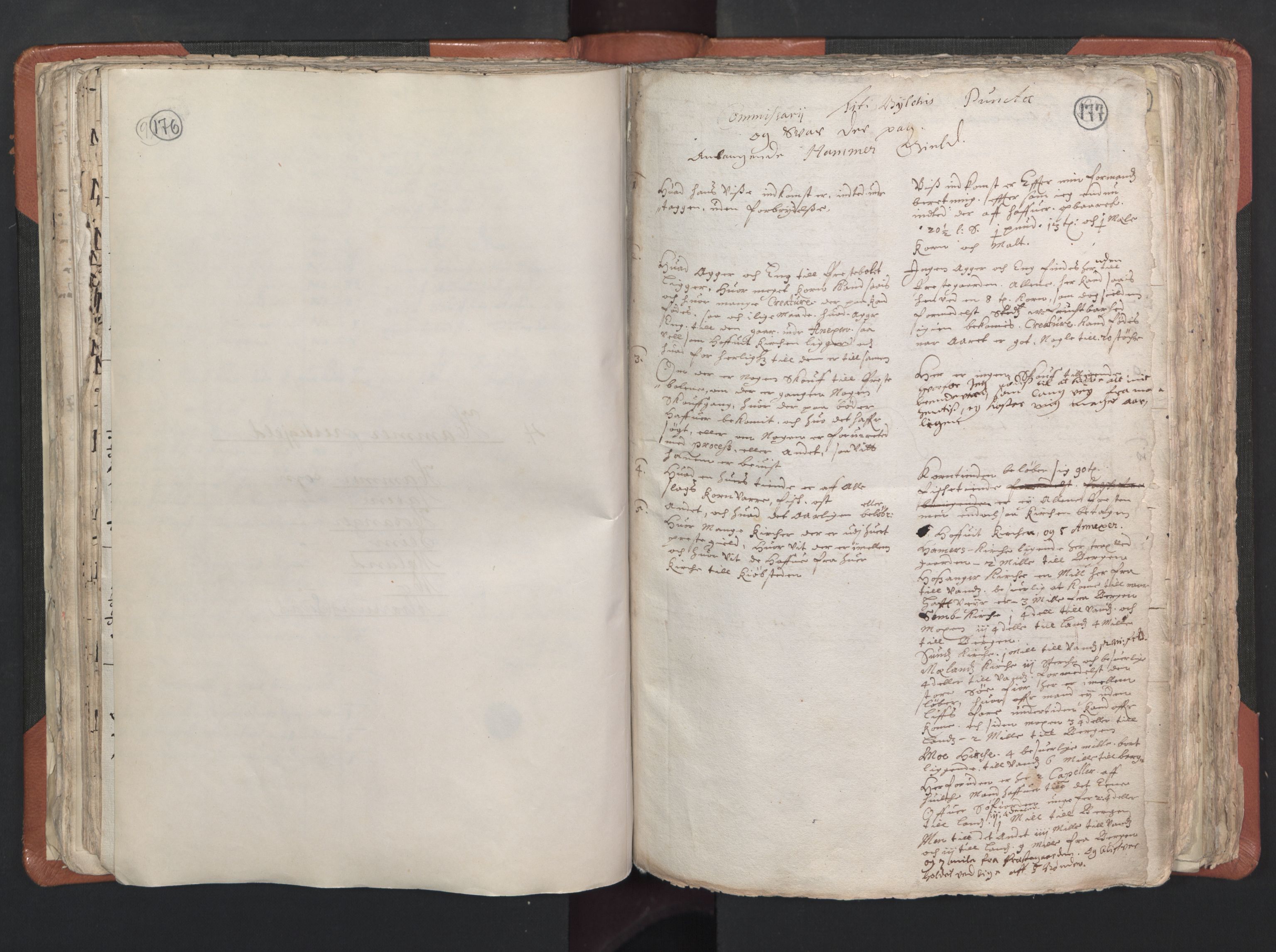 RA, Vicar's Census 1664-1666, no. 22: Nordhordland deanery, 1664-1666, p. 176-177