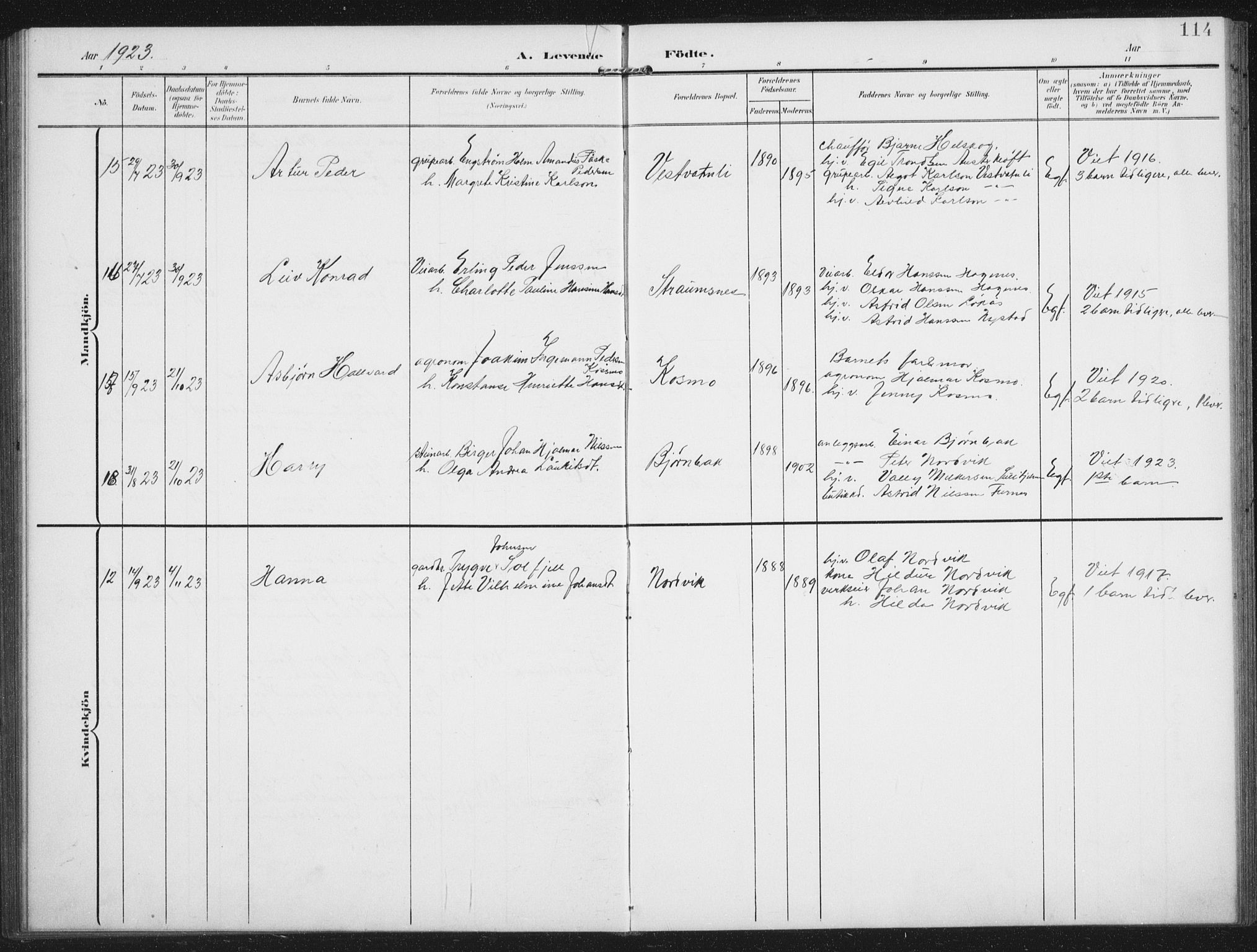 Ministerialprotokoller, klokkerbøker og fødselsregistre - Nordland, AV/SAT-A-1459/851/L0726: Parish register (copy) no. 851C01, 1902-1924, p. 114