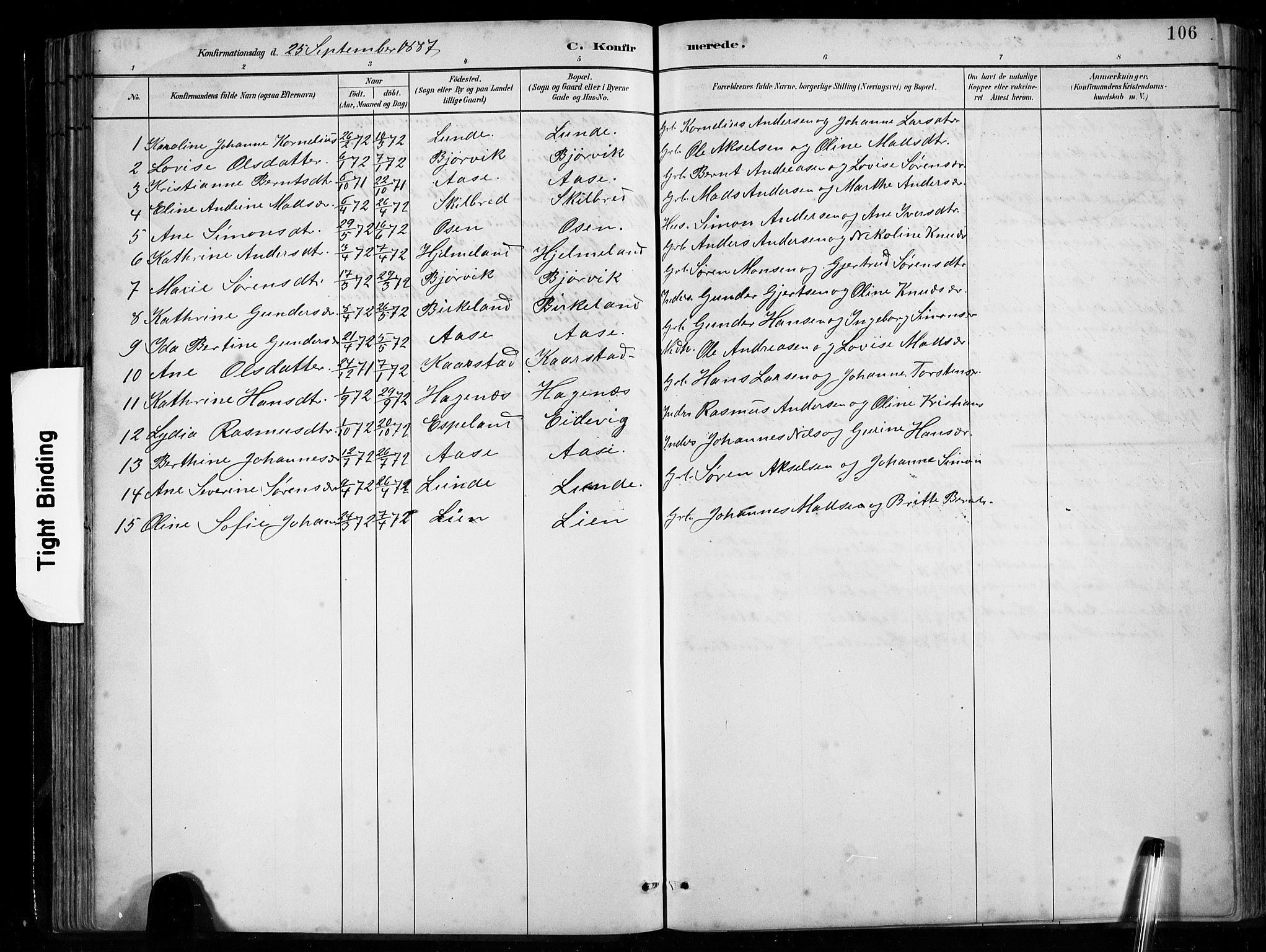 Gaular sokneprestembete, SAB/A-80001/H/Hab: Parish register (copy) no. B 3, 1882-1913, p. 106