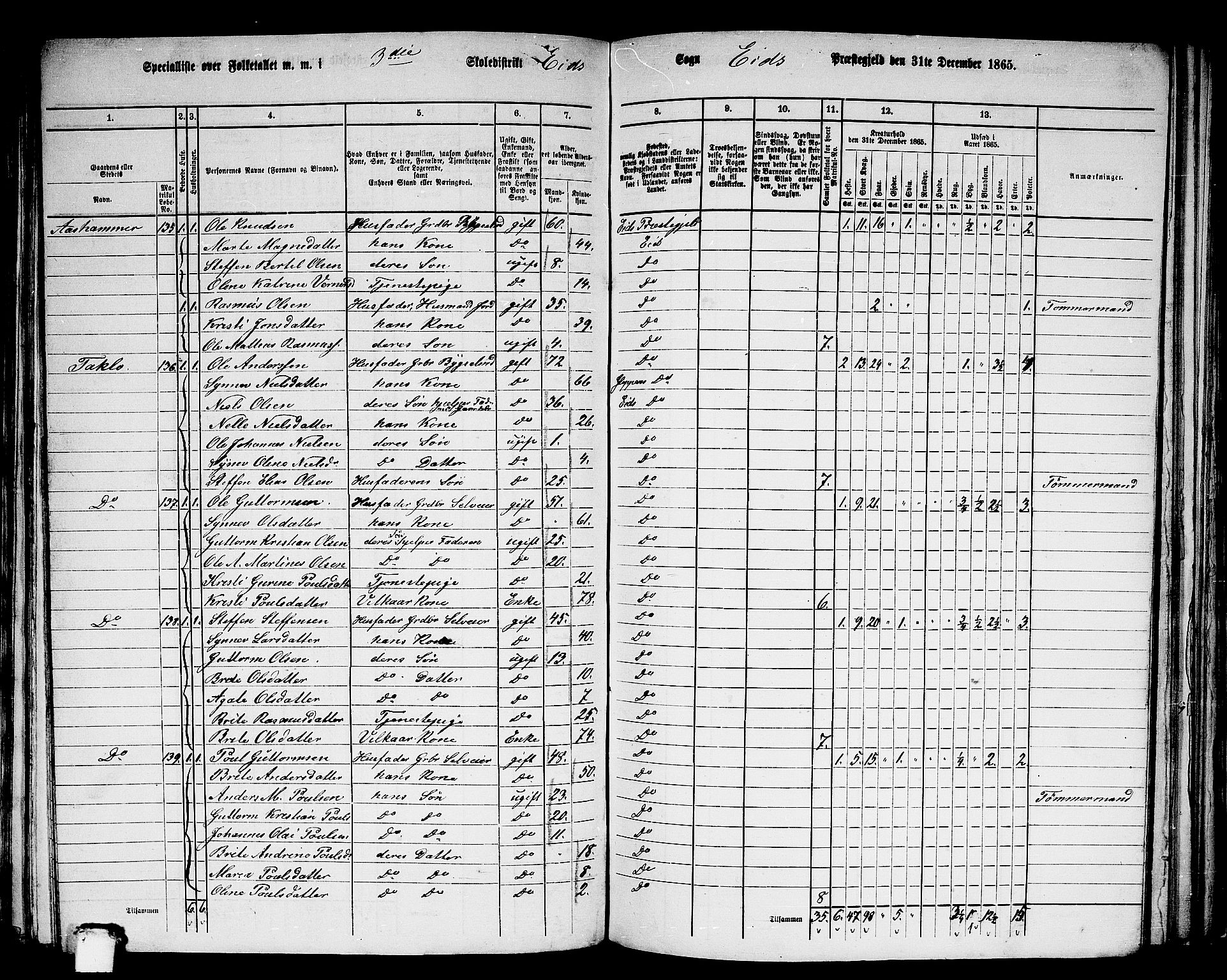 RA, 1865 census for Eid, 1865, p. 126