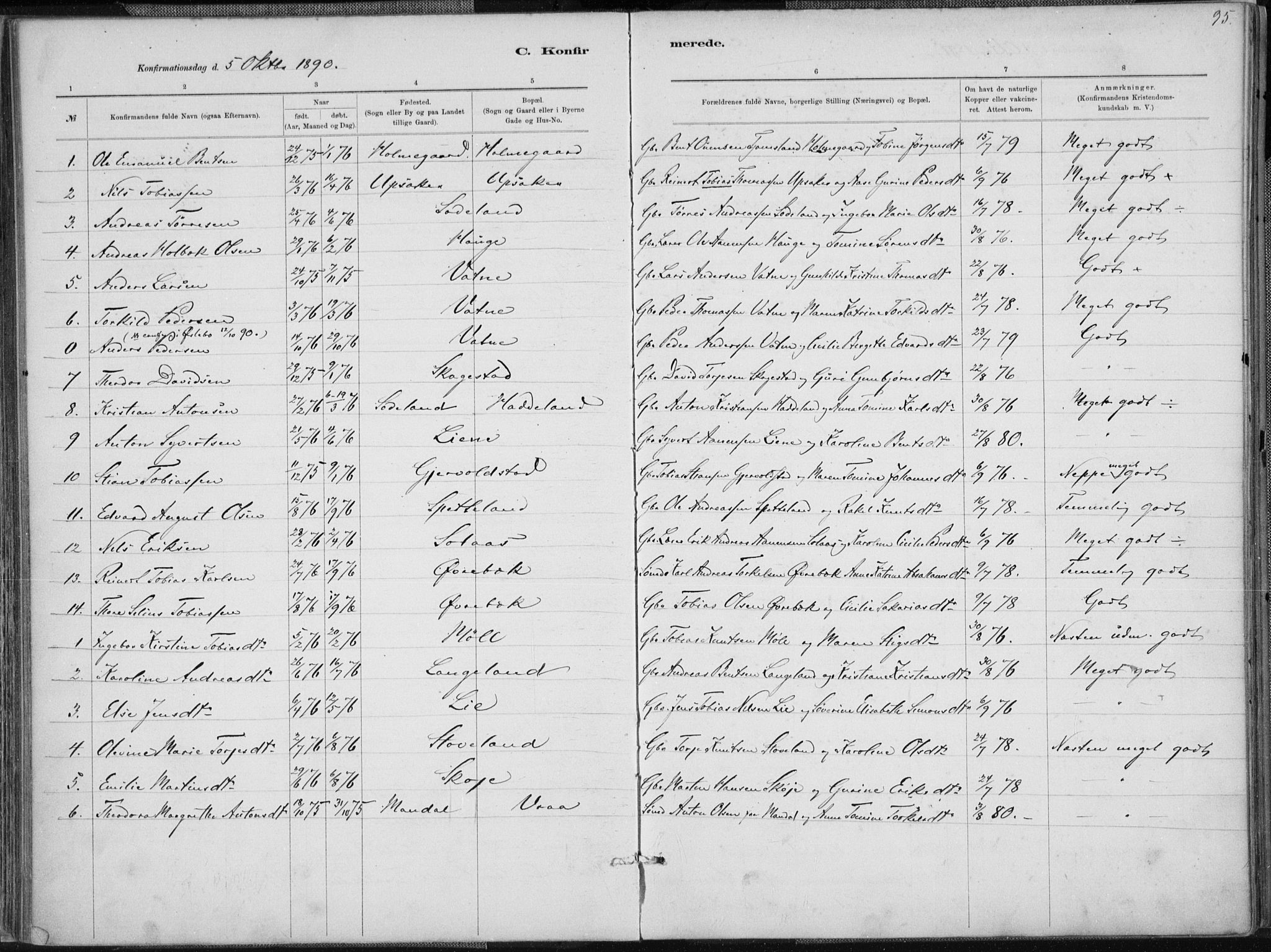 Holum sokneprestkontor, SAK/1111-0022/F/Fa/Faa/L0007: Parish register (official) no. A 7, 1884-1907, p. 95