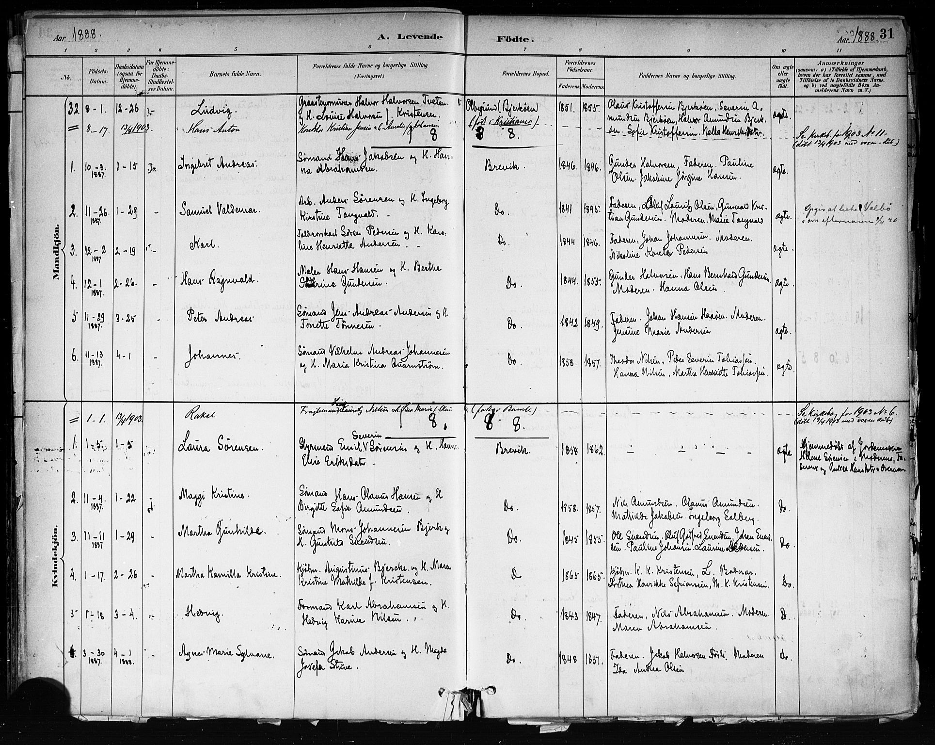 Brevik kirkebøker, SAKO/A-255/F/Fa/L0007: Parish register (official) no. 7, 1882-1900, p. 31