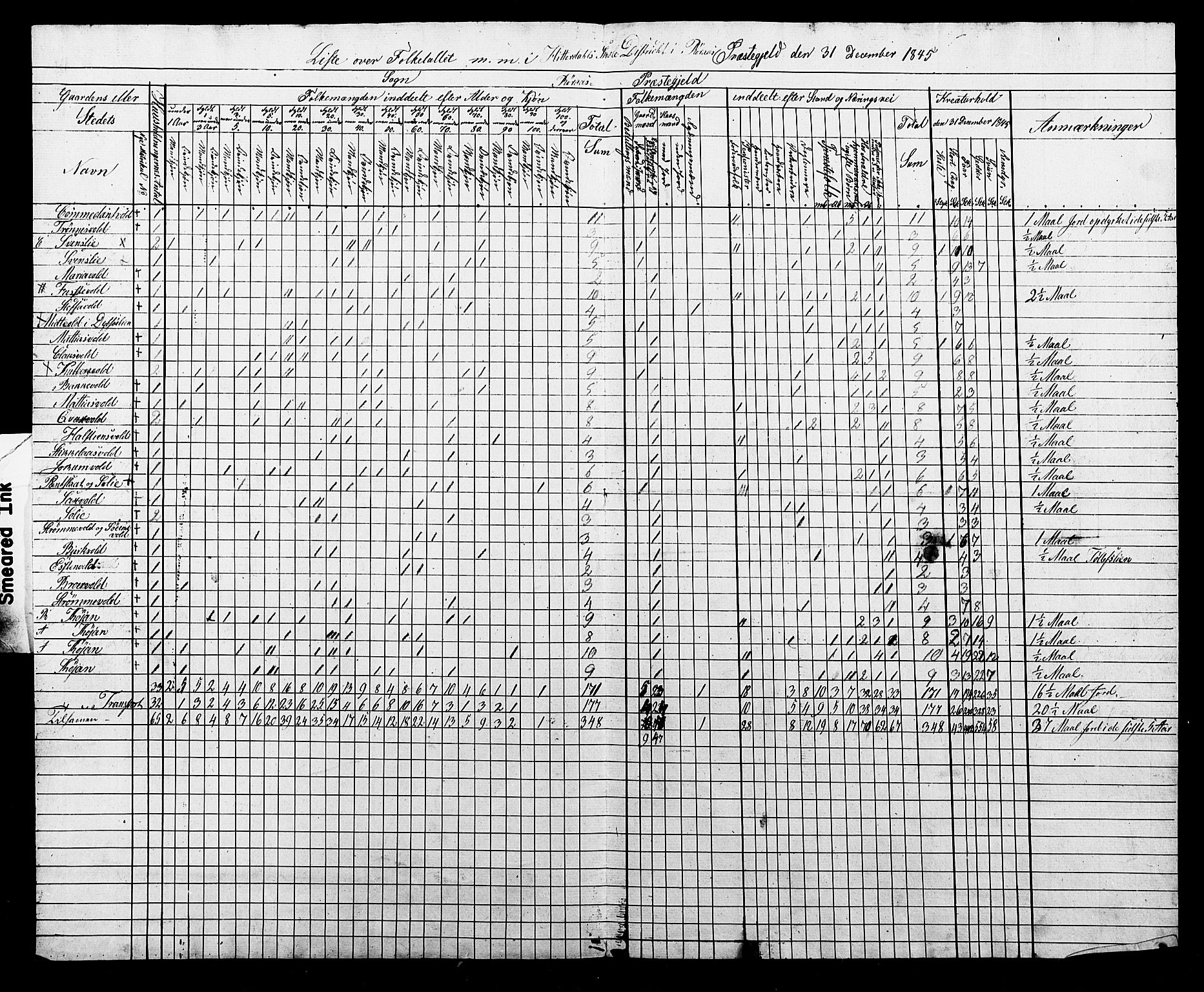 , Census 1845 for Røros/Røros, 1845, p. 21