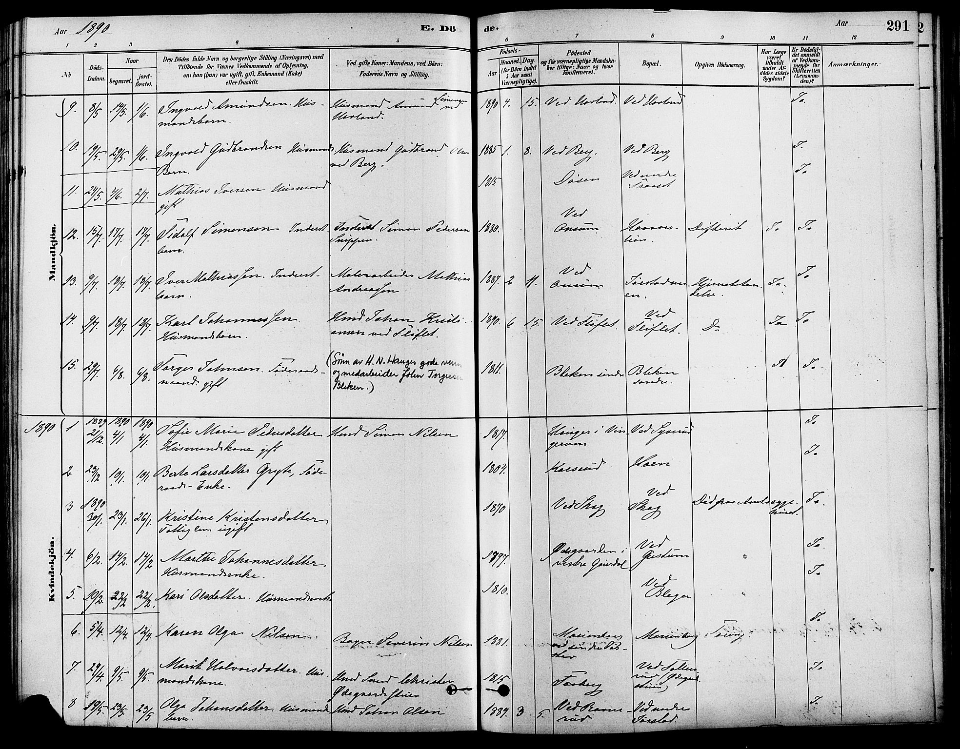 Fåberg prestekontor, SAH/PREST-086/H/Ha/Haa/L0008: Parish register (official) no. 8, 1879-1898, p. 291