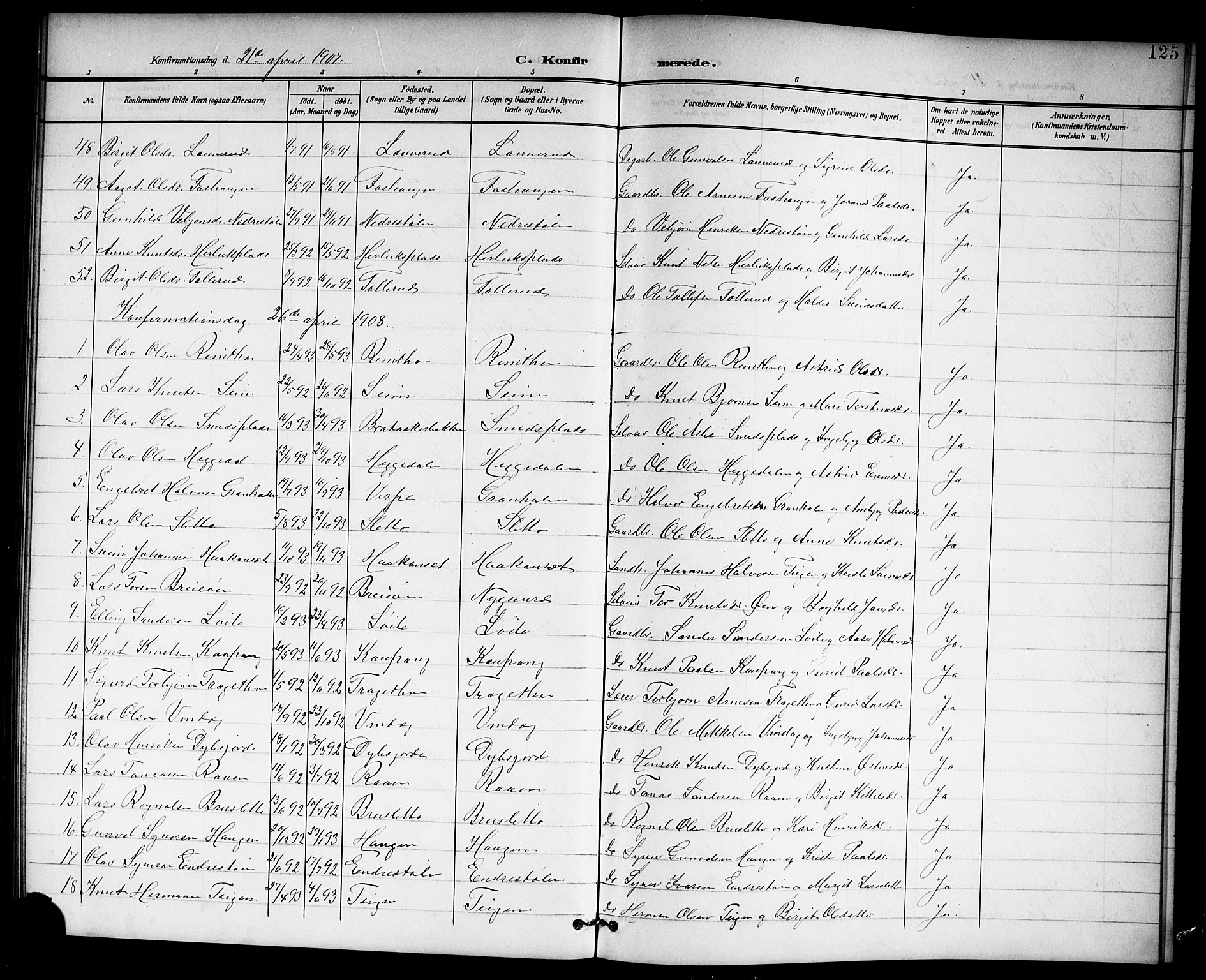 Hol kirkebøker, AV/SAKO-A-227/G/Ga/L0001: Parish register (copy) no. I 1, 1900-1919, p. 125