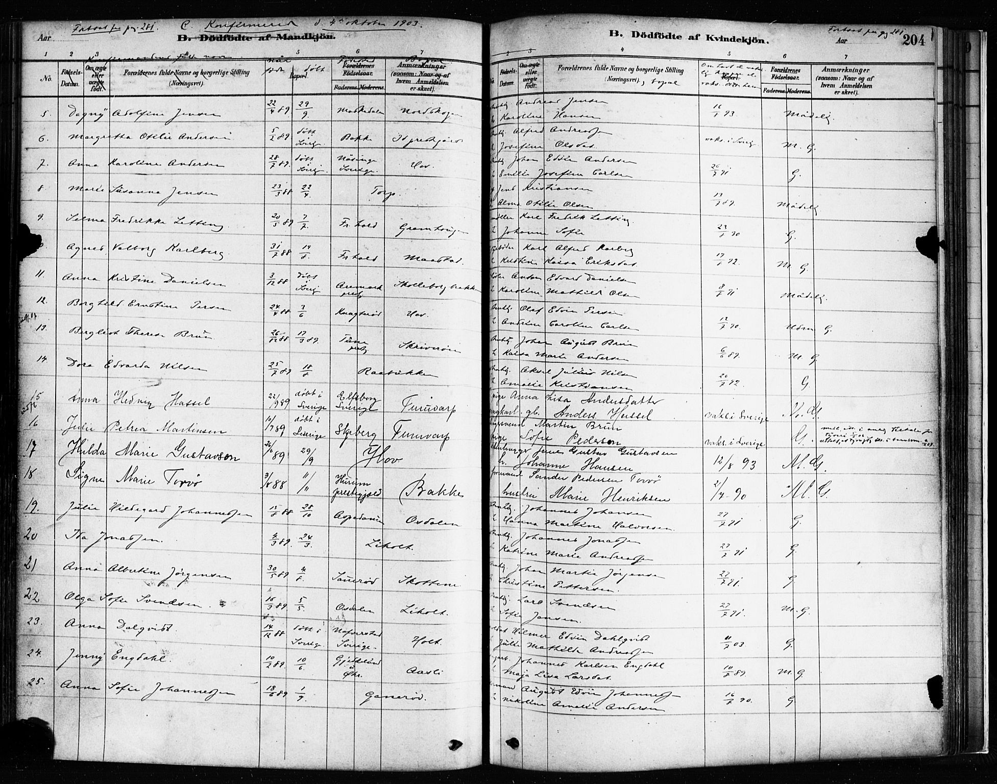 Idd prestekontor Kirkebøker, SAO/A-10911/F/Fc/L0006a: Parish register (official) no. III 6A, 1878-1903, p. 204