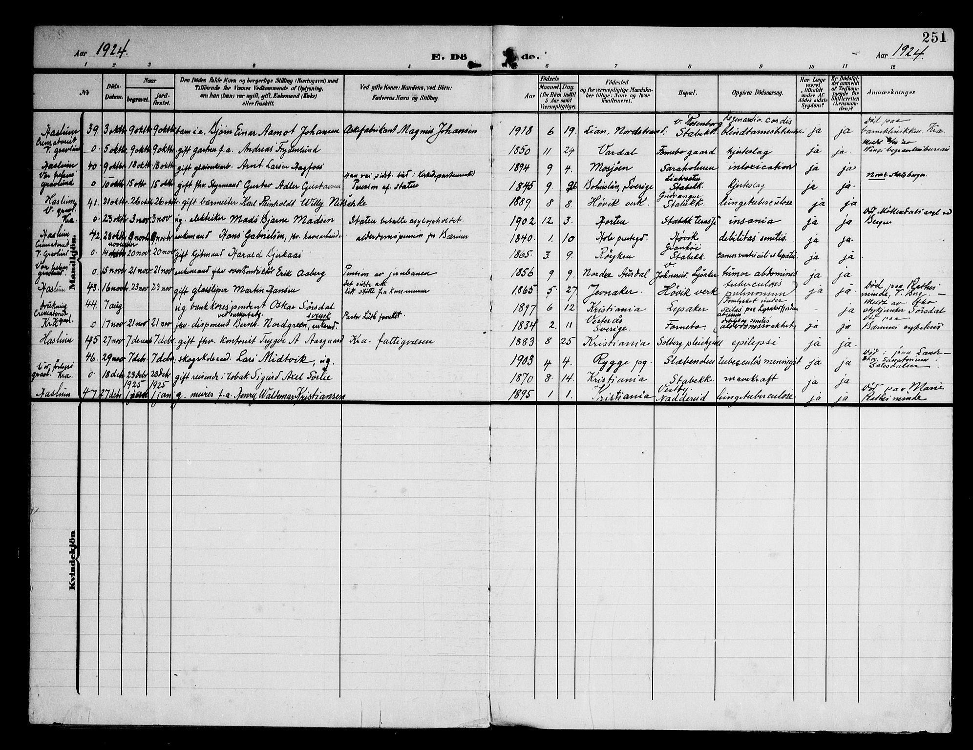 Østre Bærum prestekontor Kirkebøker, AV/SAO-A-10887/F/Fa/L0001: Parish register (official) no. 1, 1905-1924, p. 251