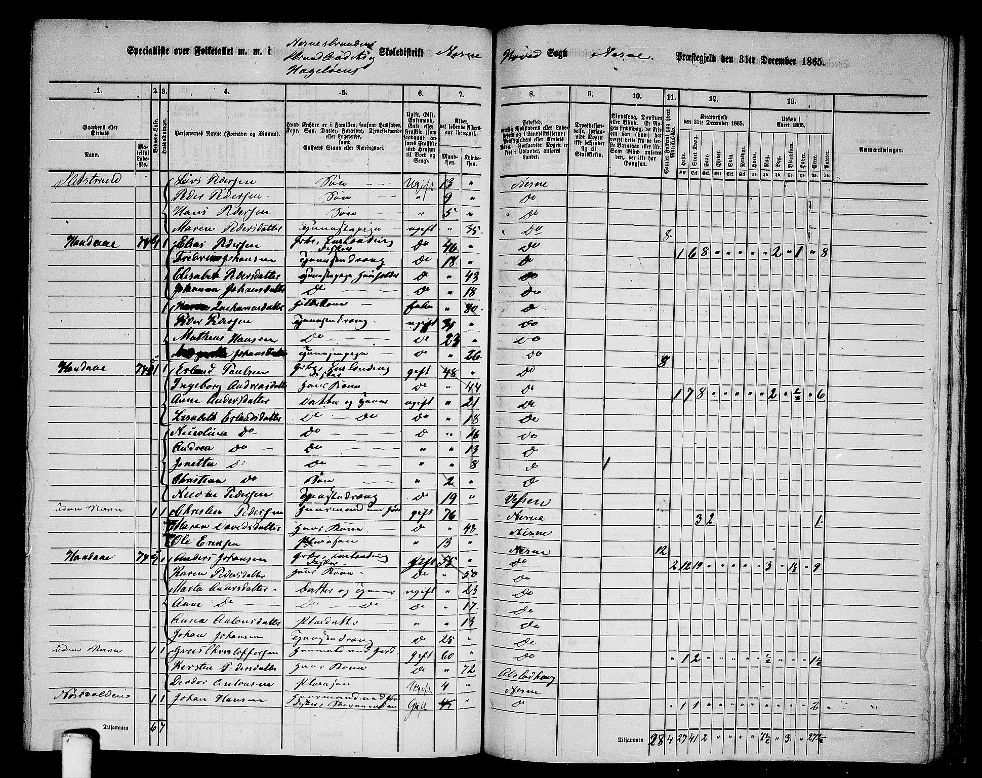 RA, 1865 census for Nesna, 1865, p. 132