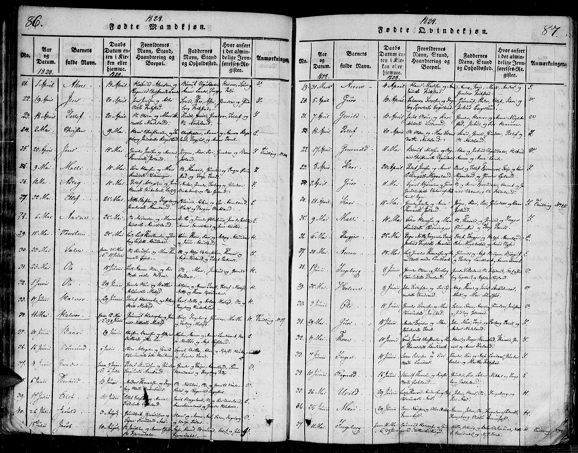 Evje sokneprestkontor, AV/SAK-1111-0008/F/Fa/Faa/L0004: Parish register (official) no. A 4, 1816-1840, p. 86-87